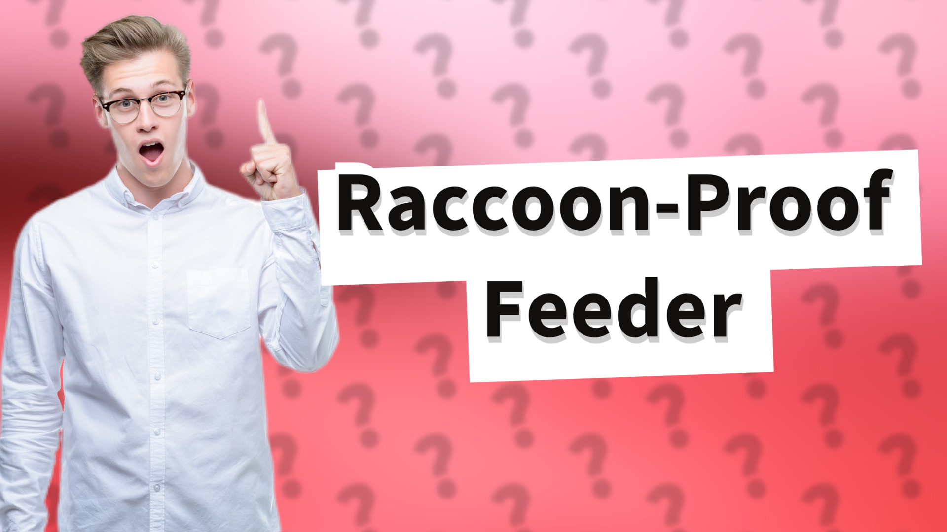 Raccoon-Proof Feeder