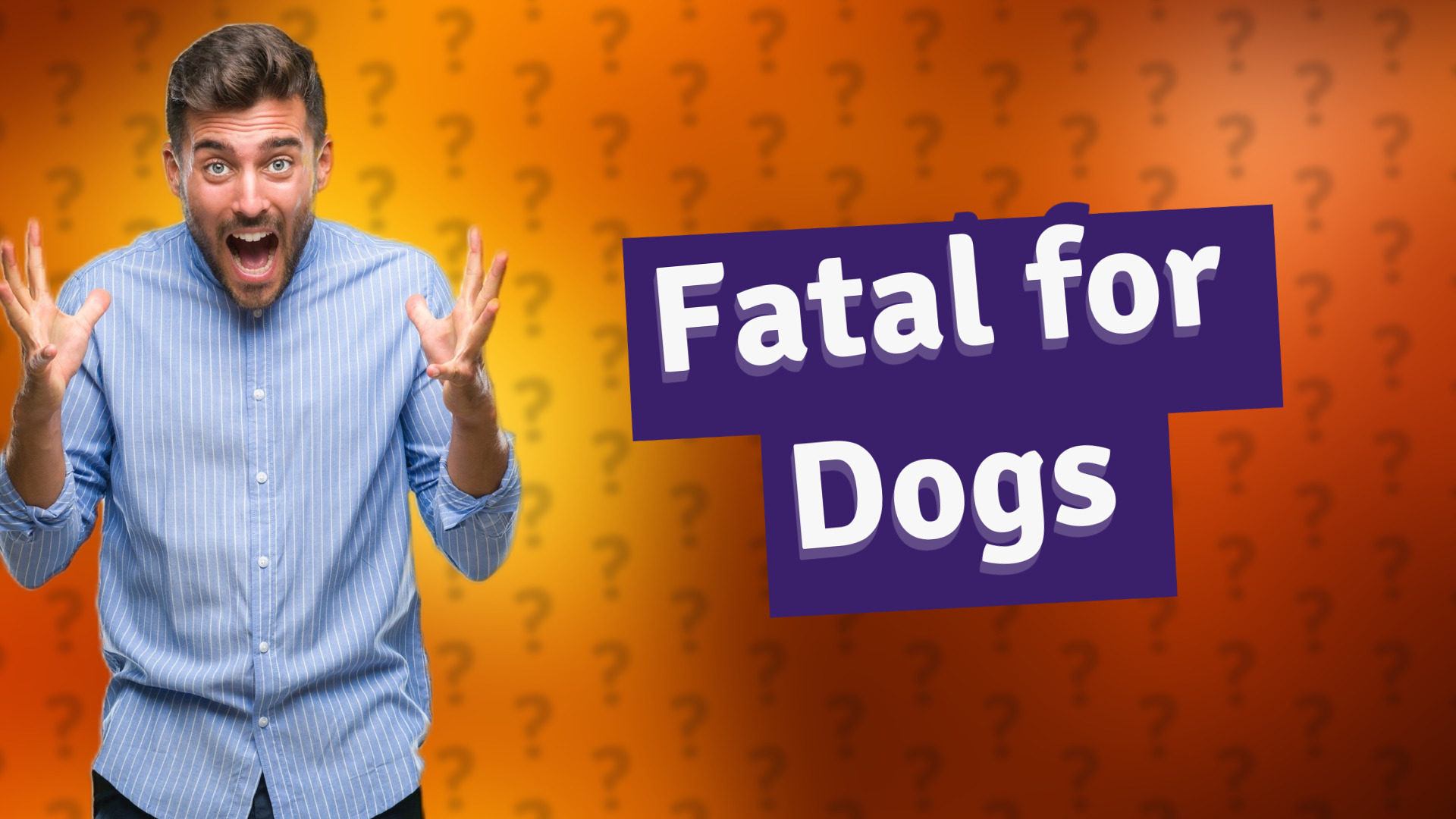 Fatal for Dogs