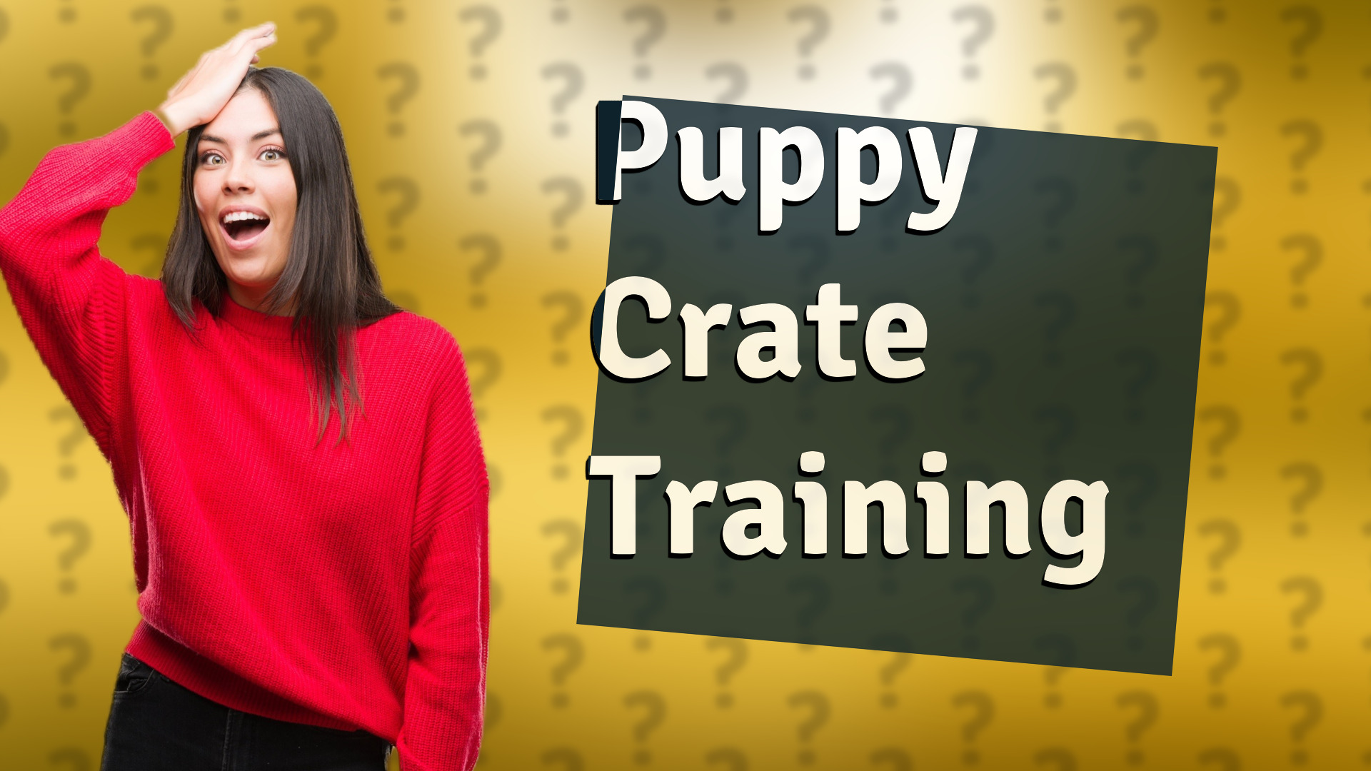 Puppy Crate Training
