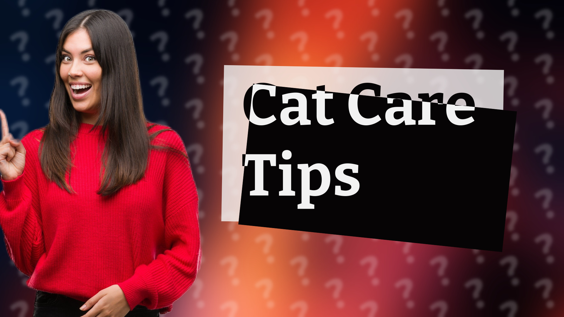 Cat Care Tips