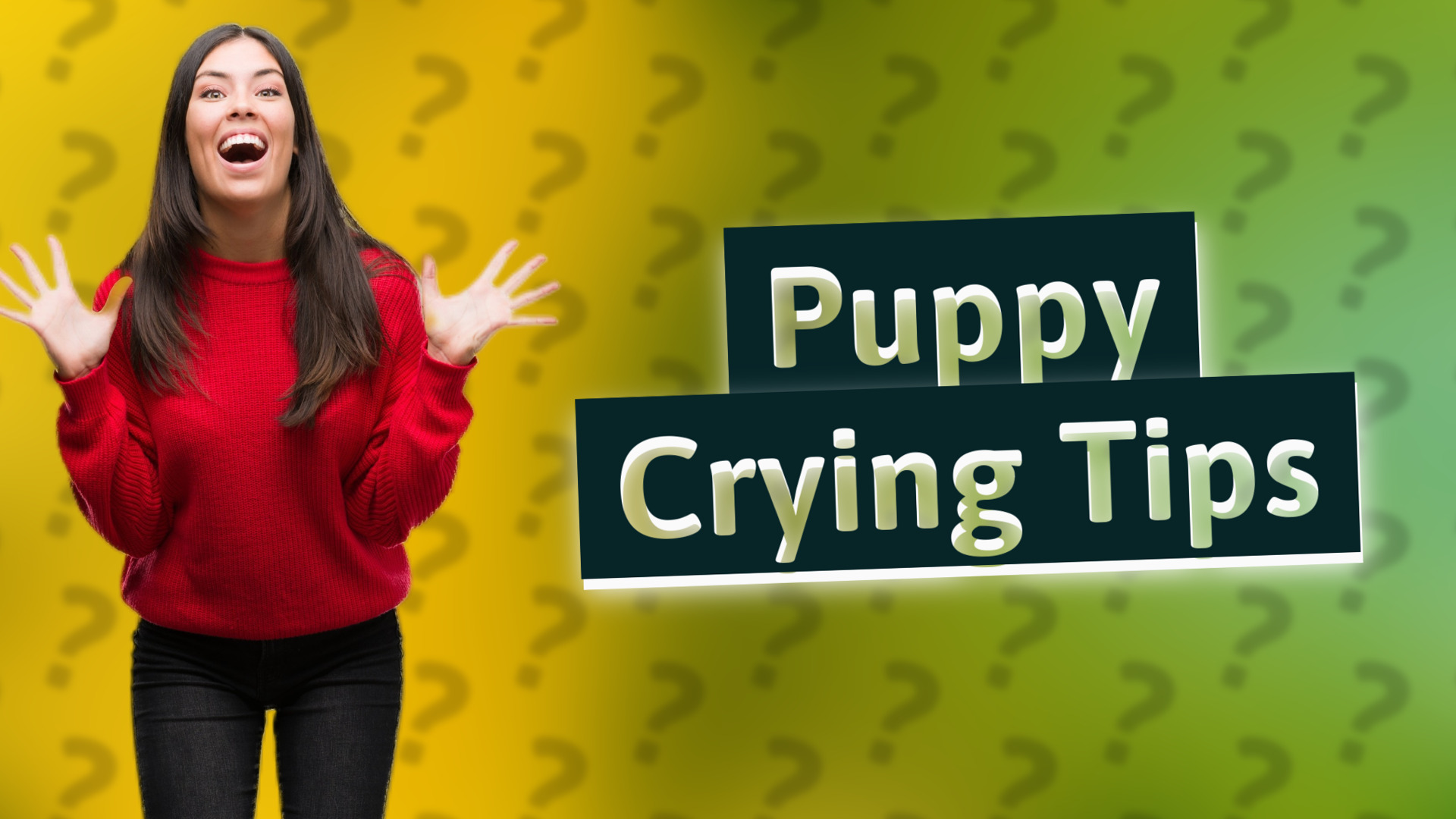 Puppy Crying Tips
