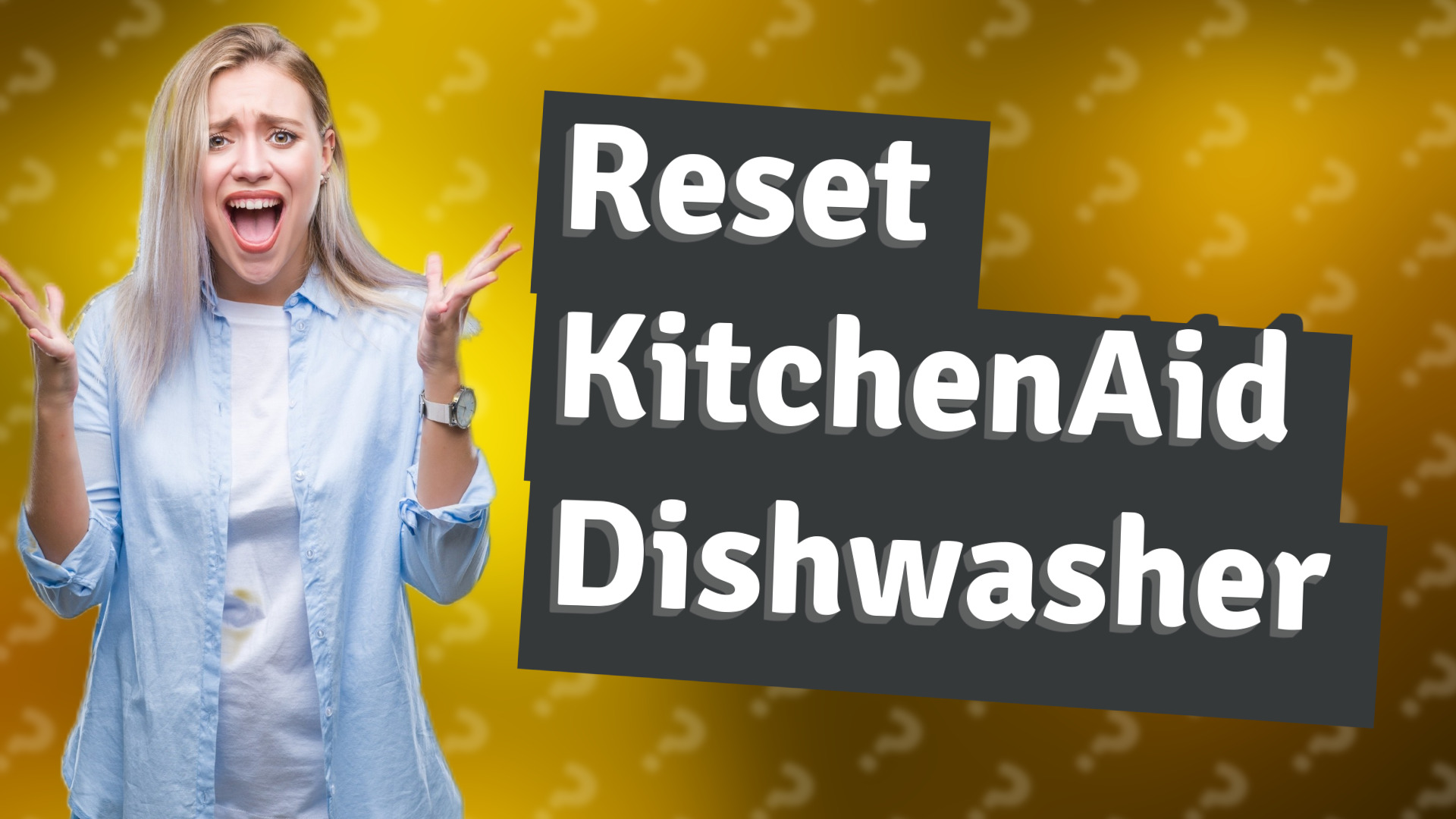 Reset KitchenAid Dishwasher