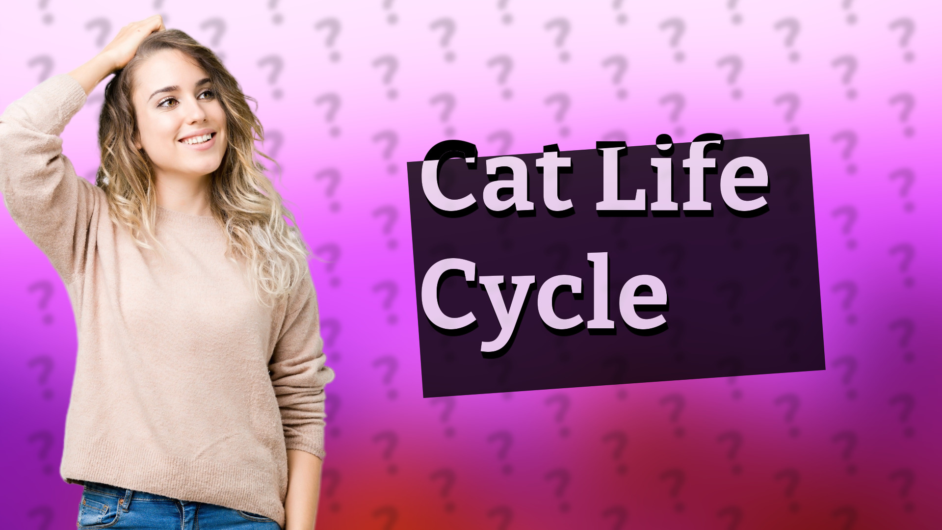 Cat Life Cycle