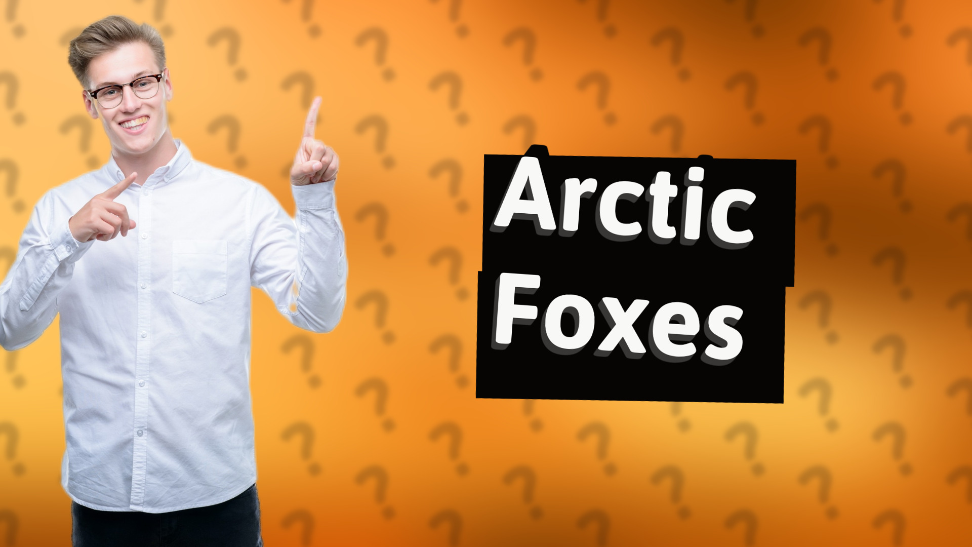 Arctic Foxes
