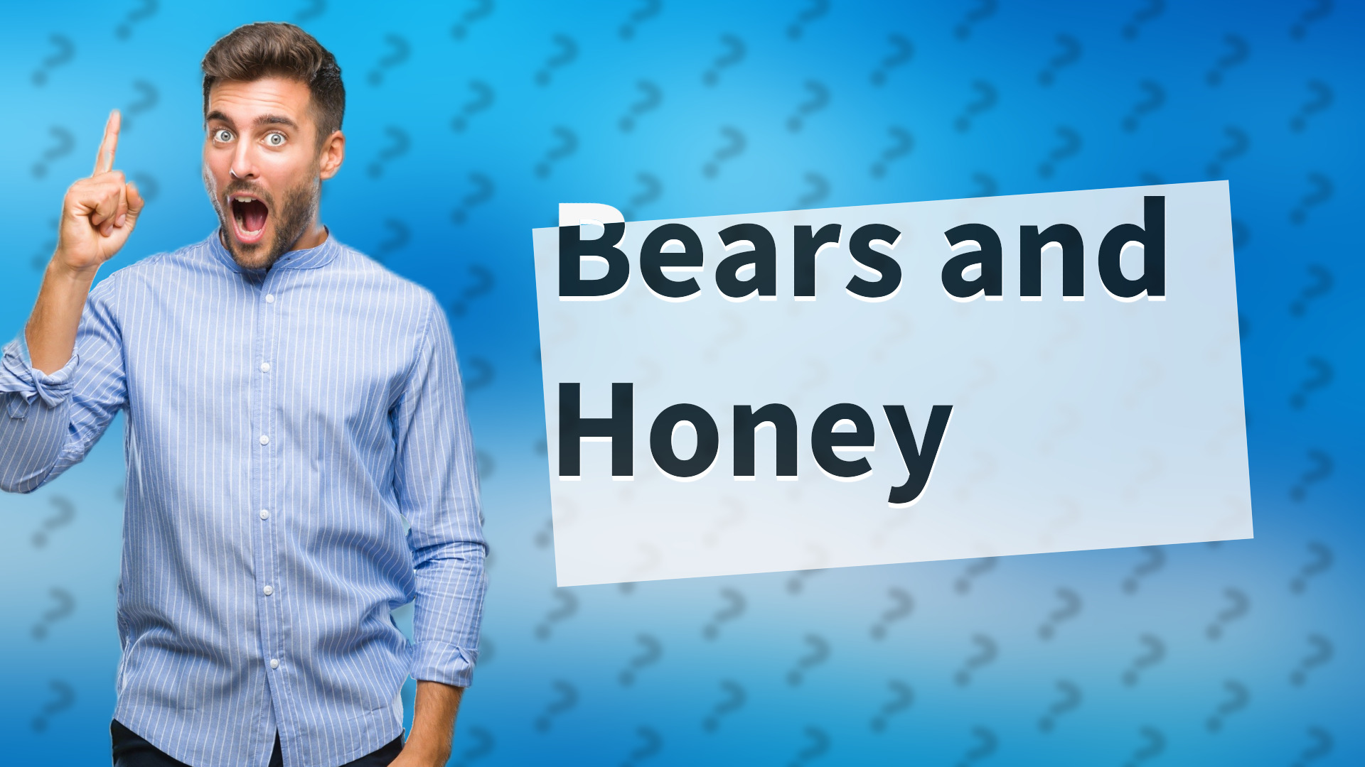 Bears and Honey