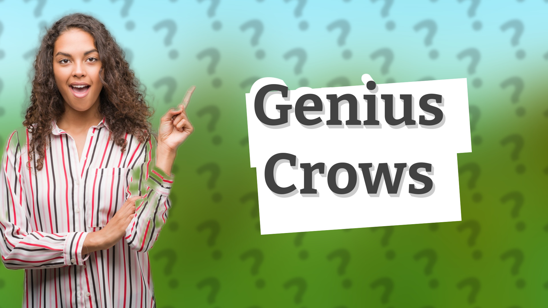 Genius Crows