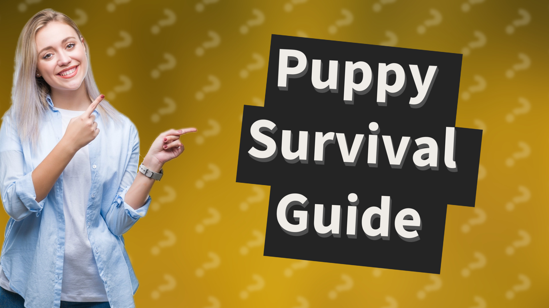 Puppy Survival Guide