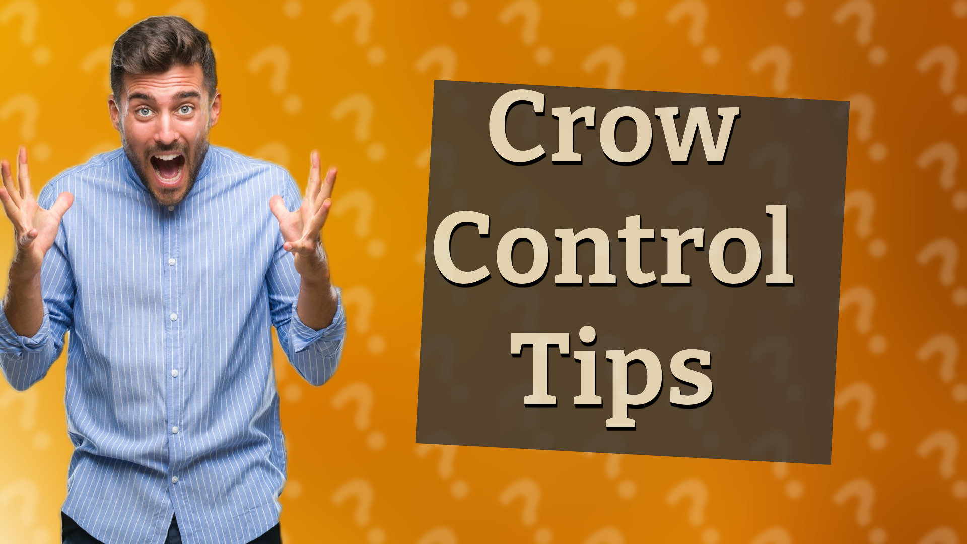 Crow Control Tips