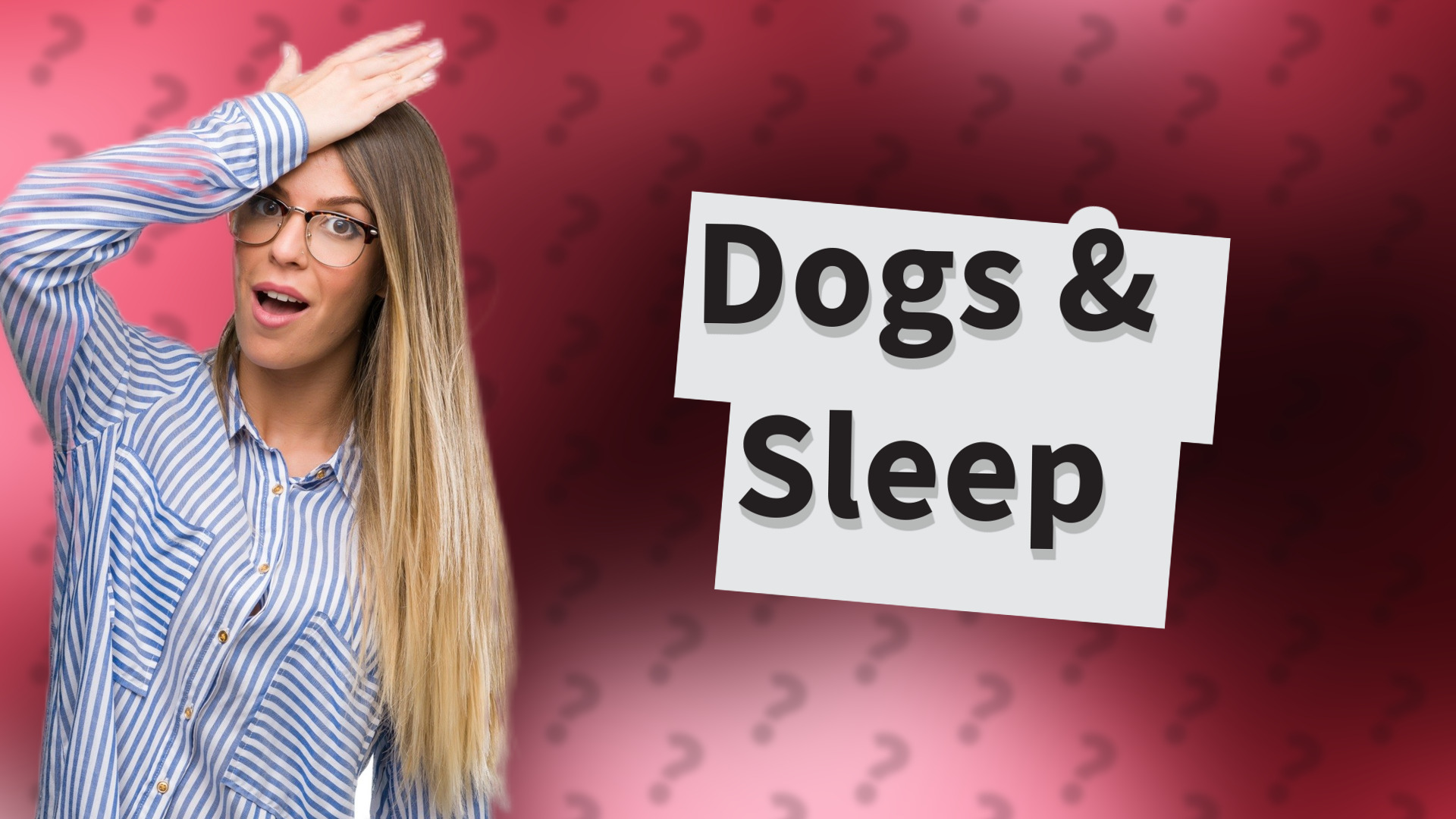 Dogs & Sleep