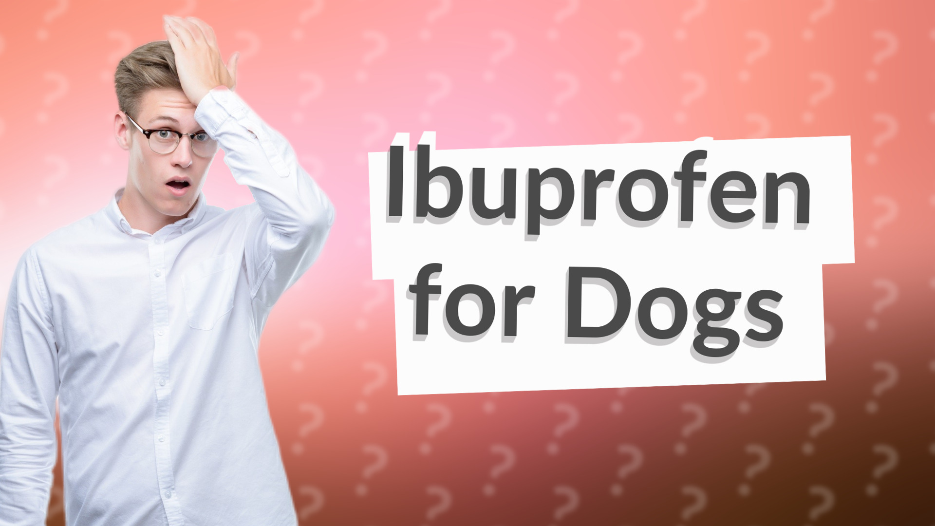 Ibuprofen for Dogs
