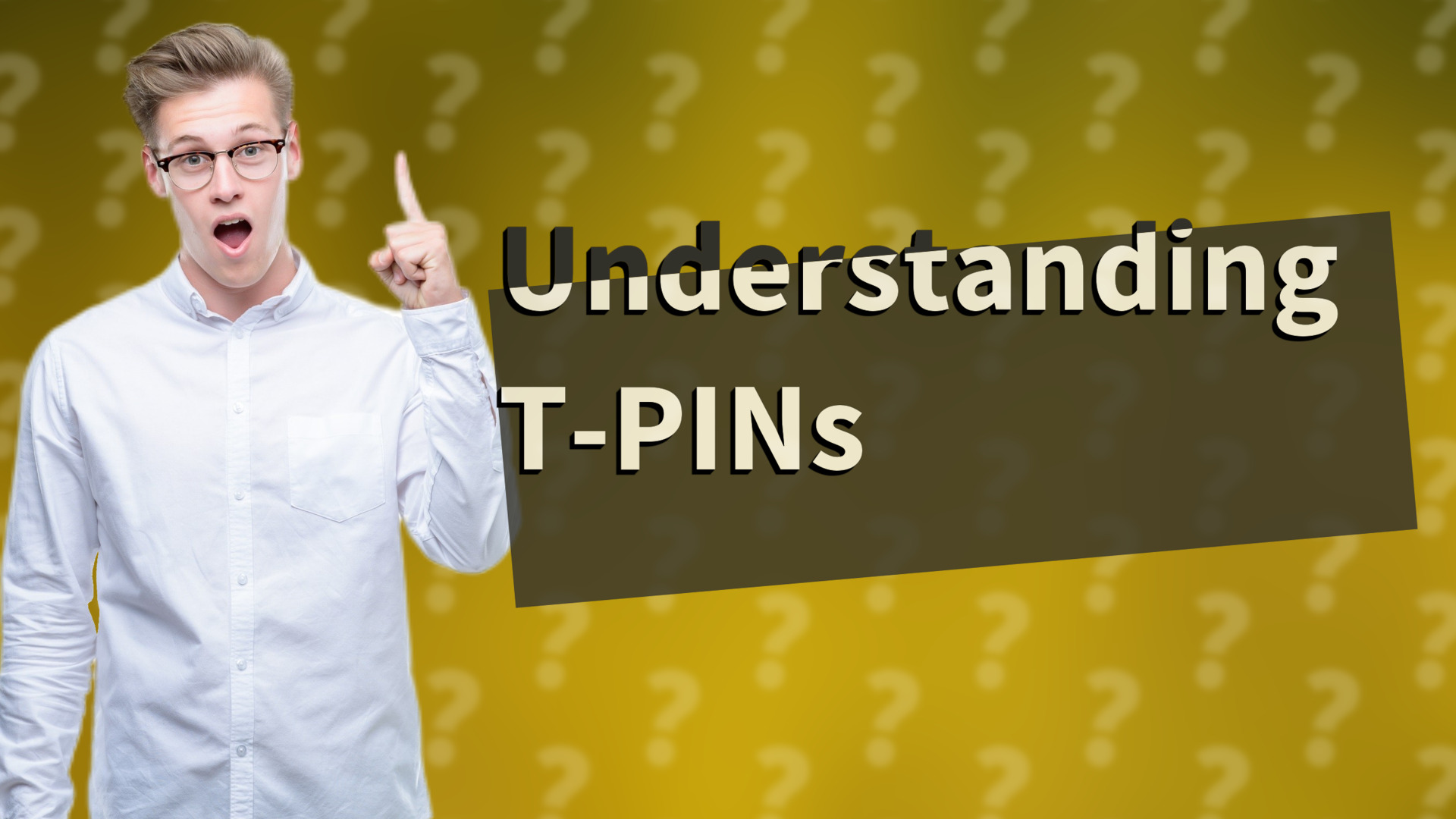 Understanding T-PINs