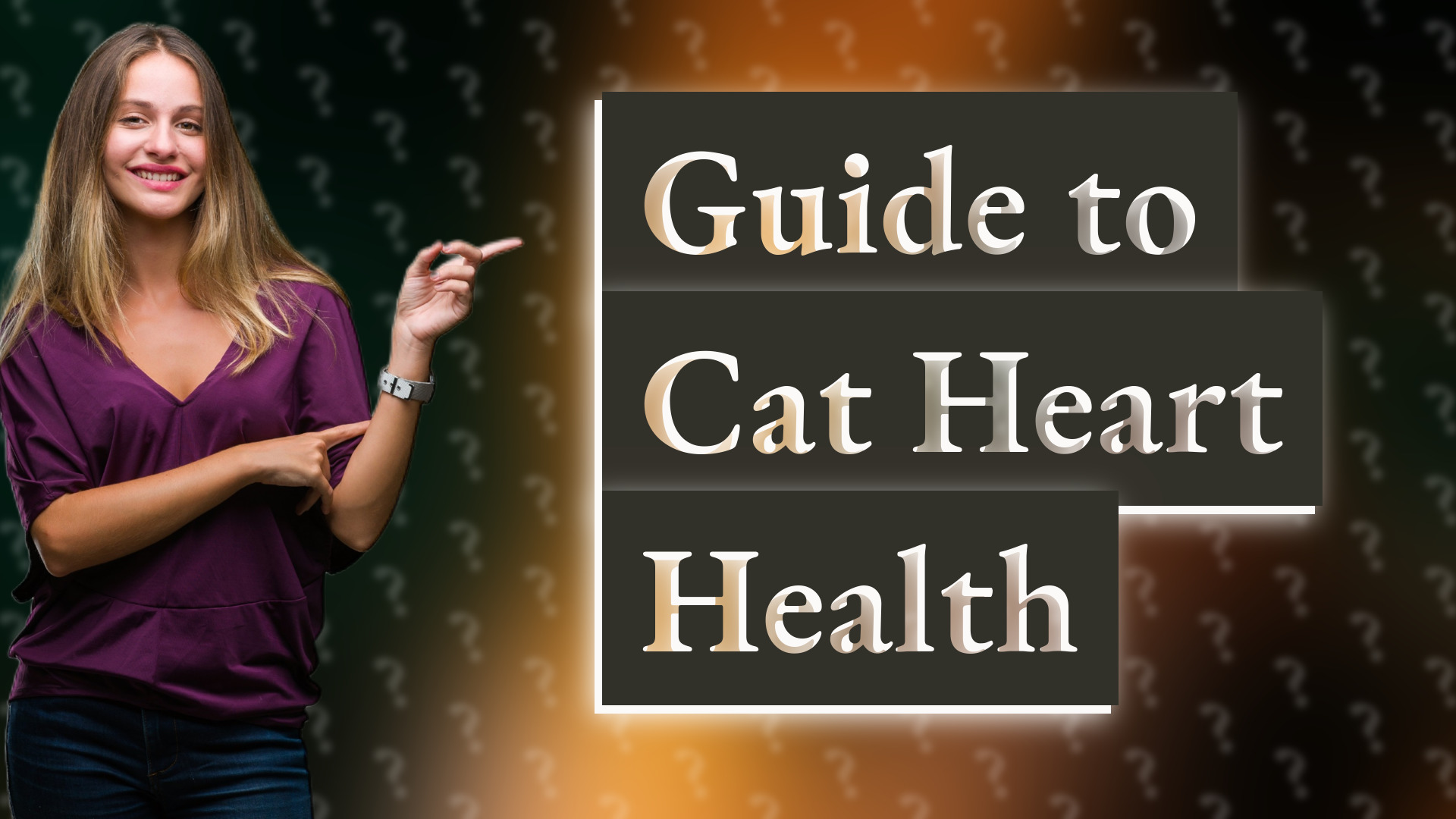 Guide to Cat Heart Health