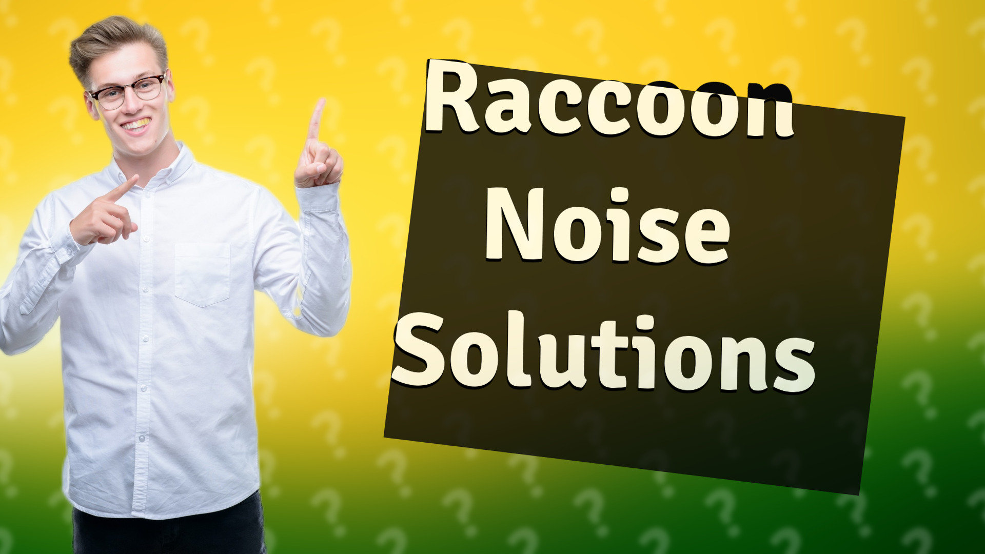 Raccoon Noise Solutions