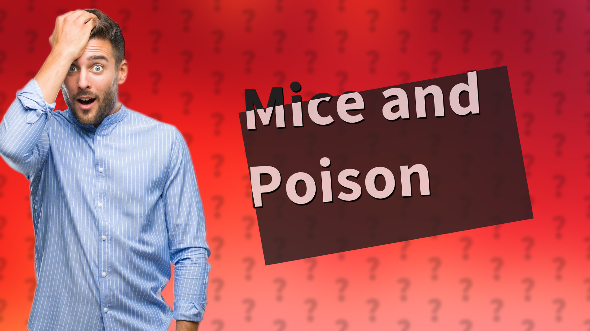 Mice and Poison