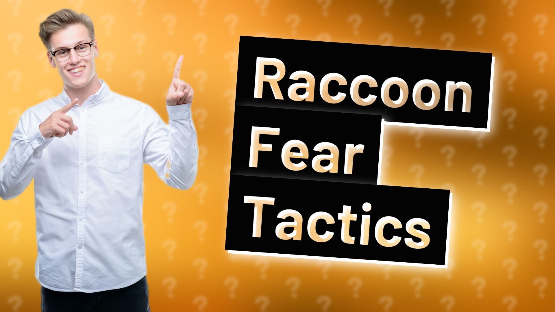 Raccoon Fear Tactics