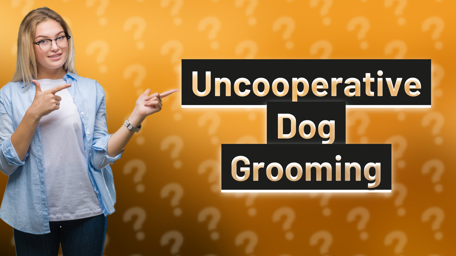 Uncooperative Dog Grooming