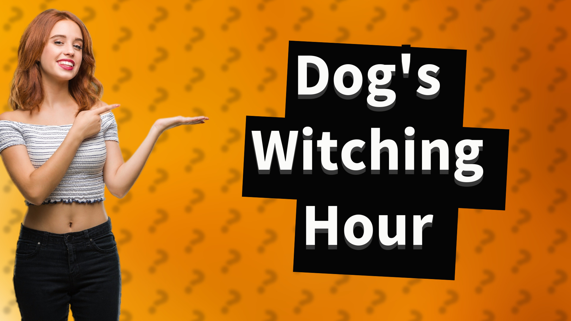 Dog's Witching Hour