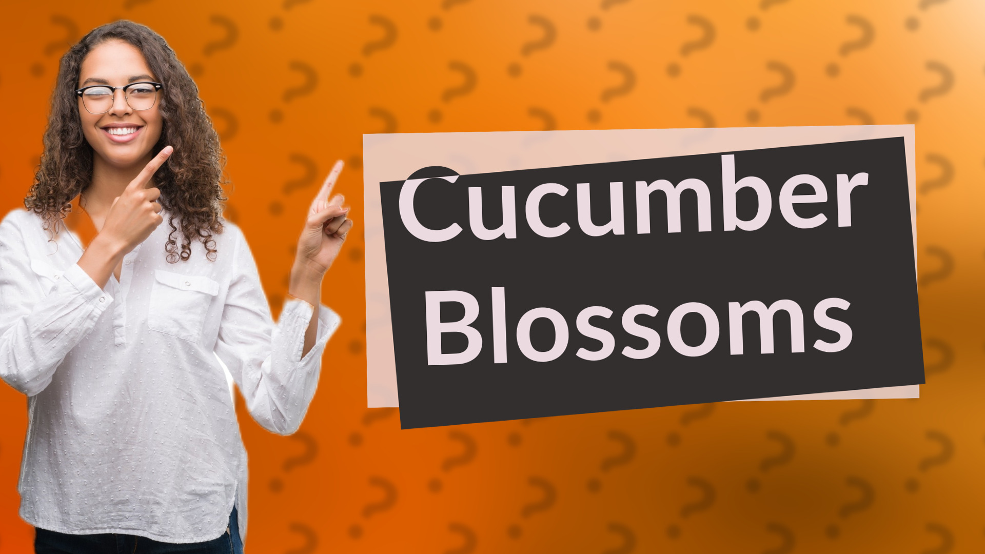 Cucumber Blossoms