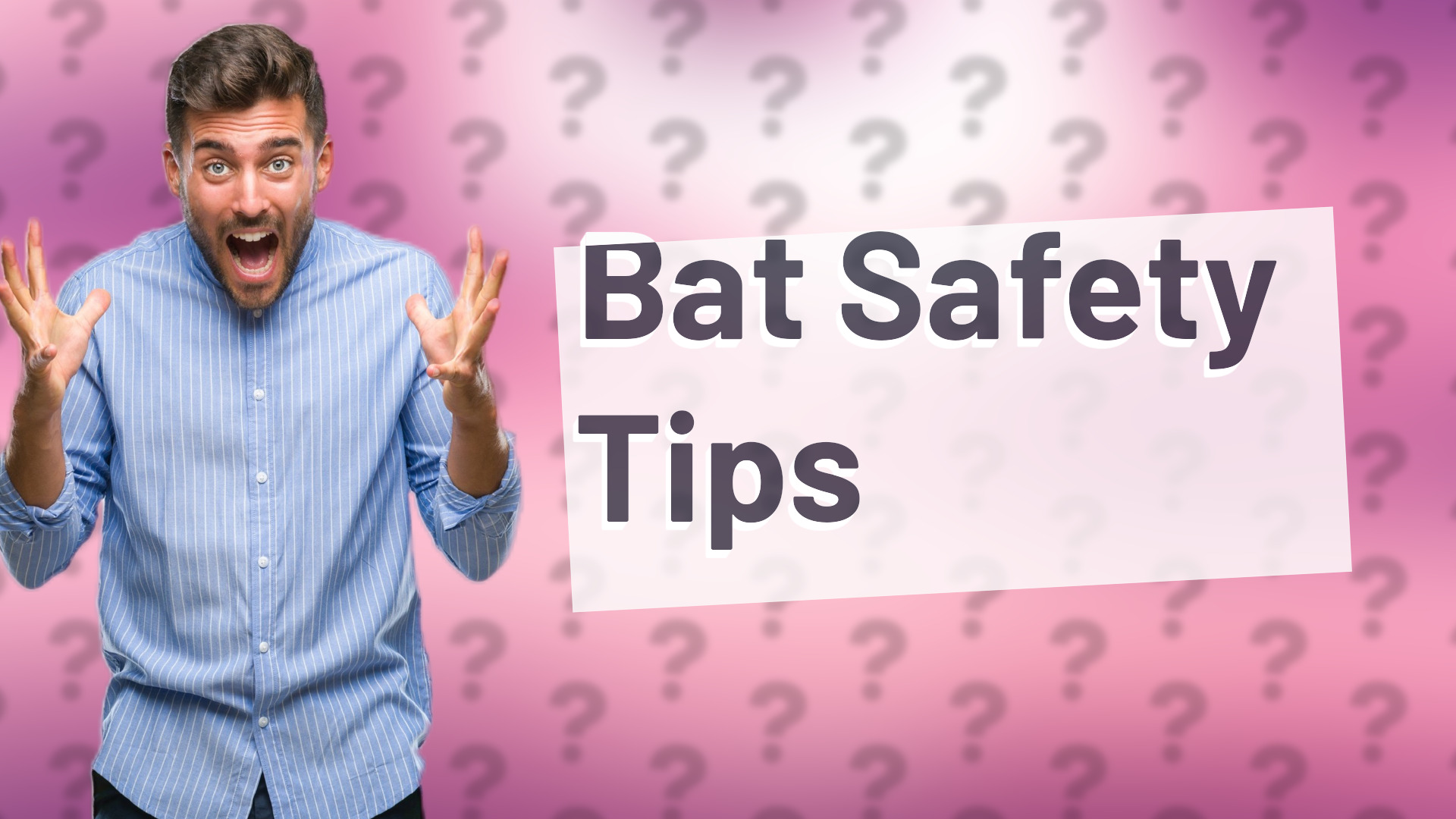 Bat Safety Tips