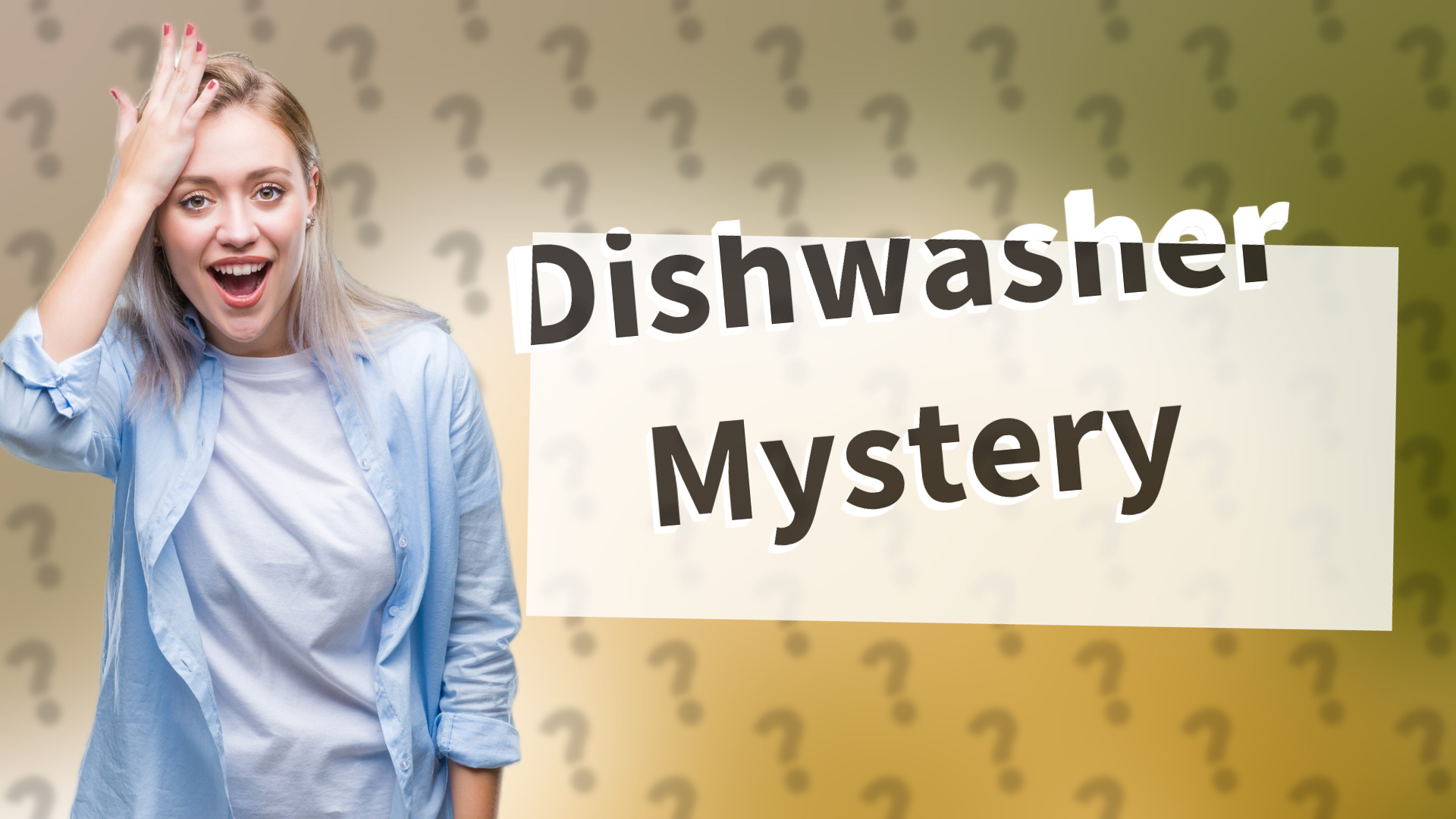 Dishwasher Mystery