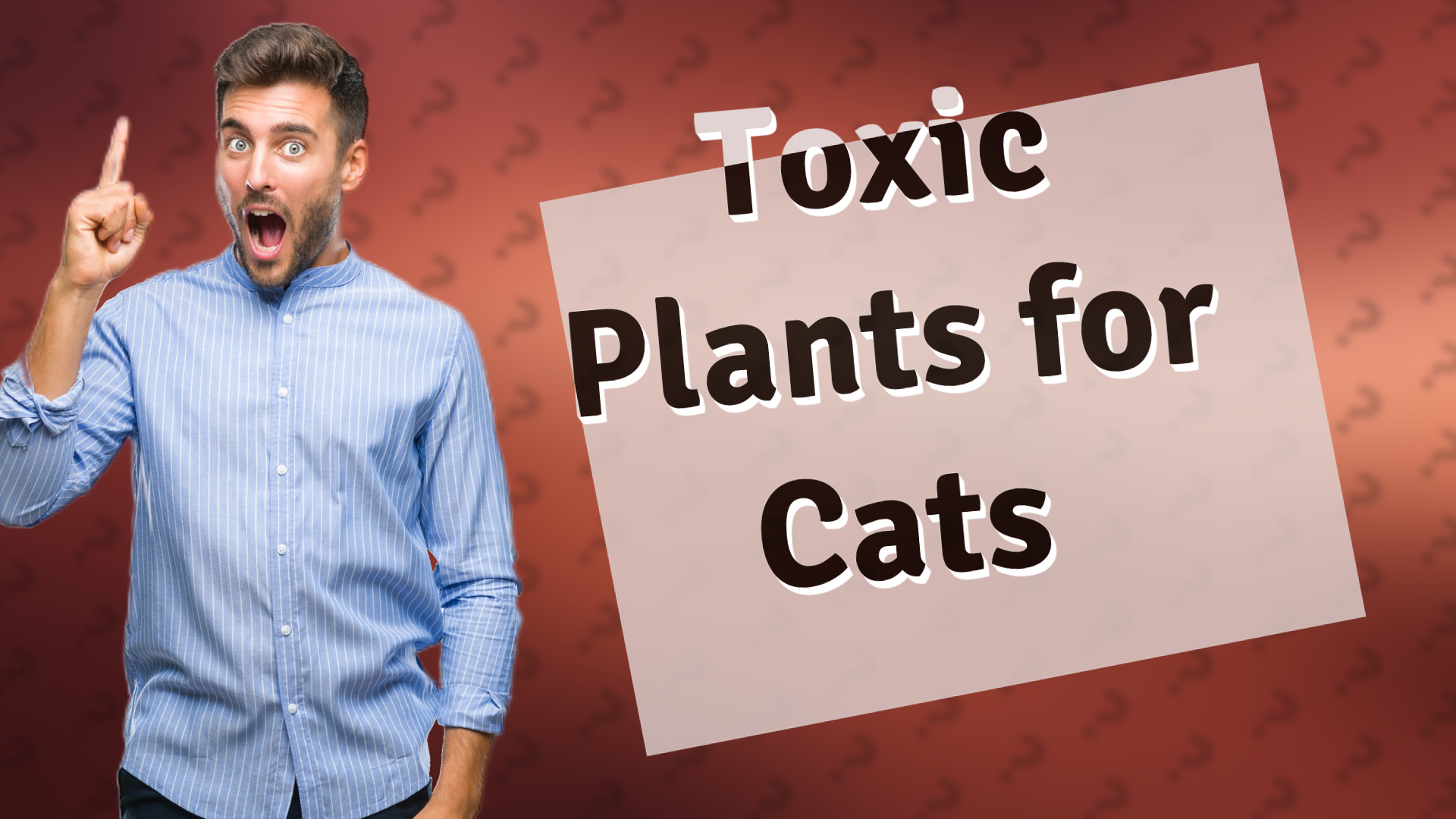 Toxic Plants for Cats