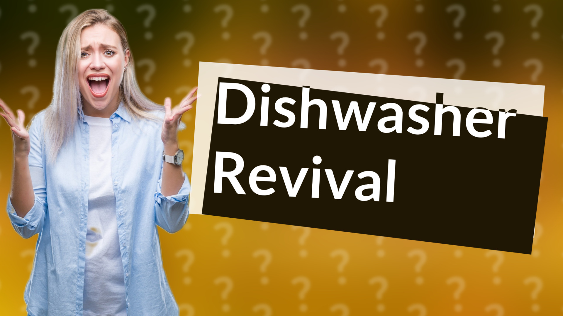 Dishwasher Revival