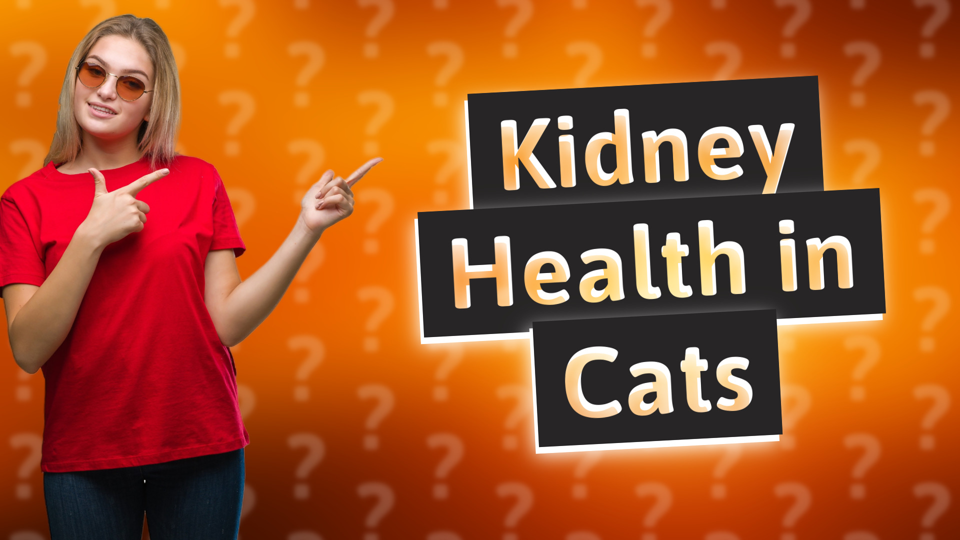 Kidney Health in Cats