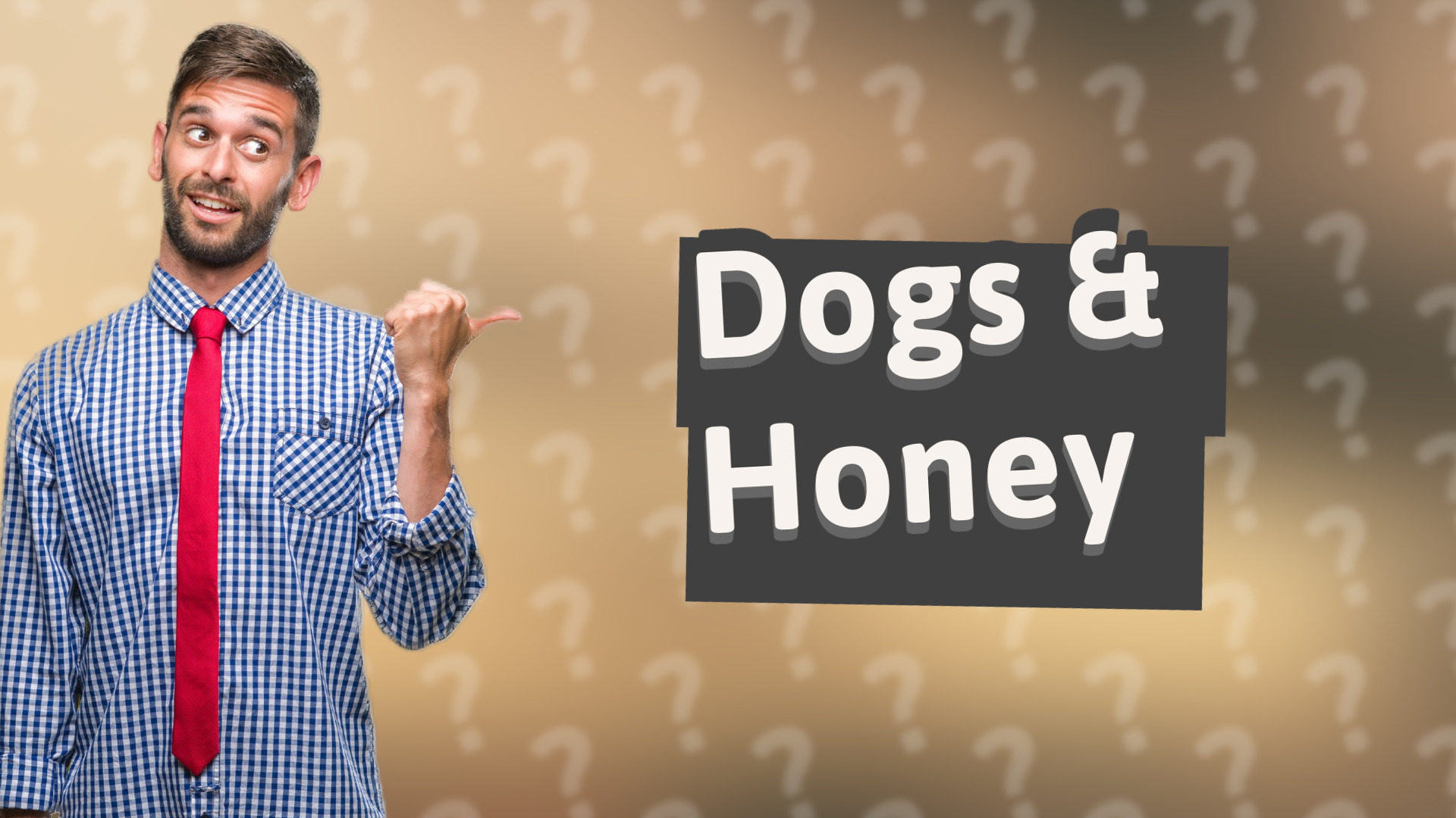 Dogs & Honey