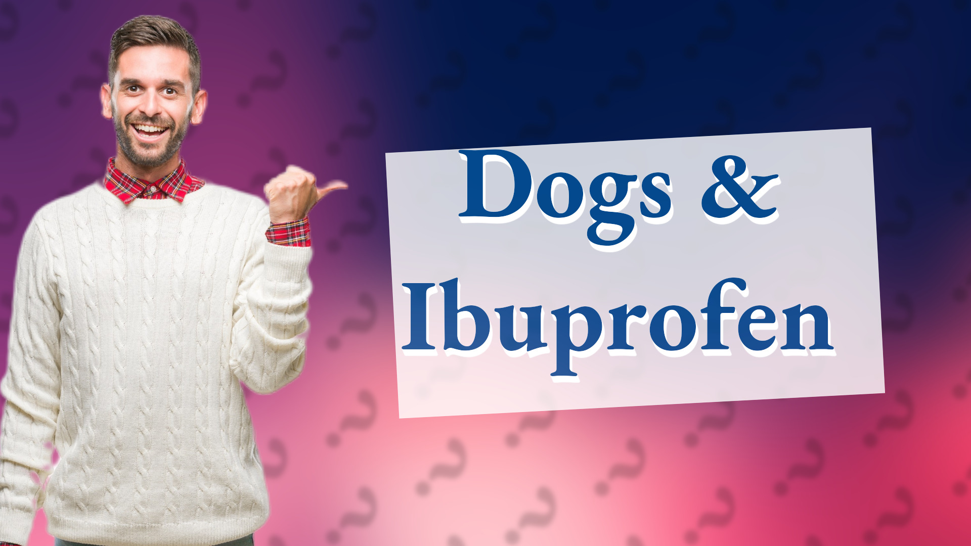 Dogs & Ibuprofen
