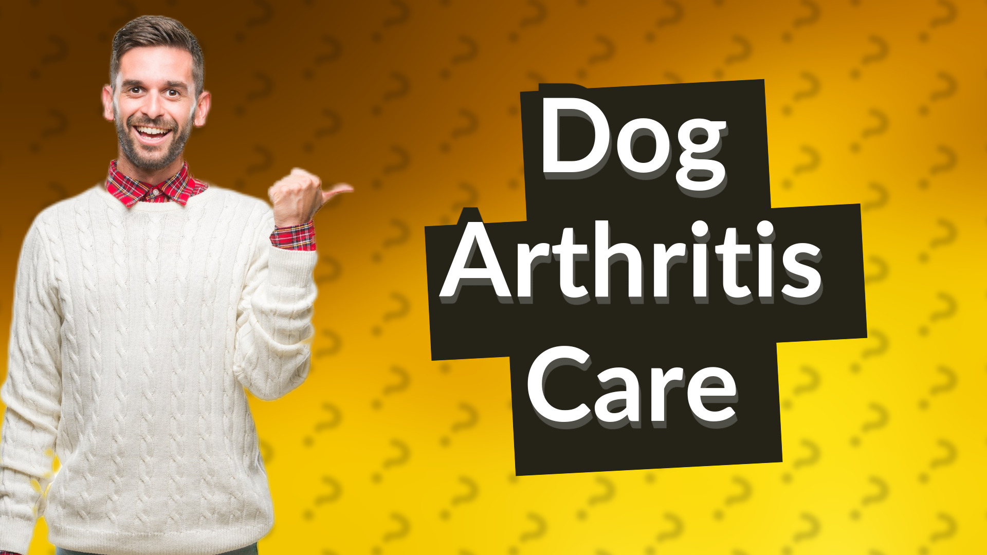 Dog Arthritis Care
