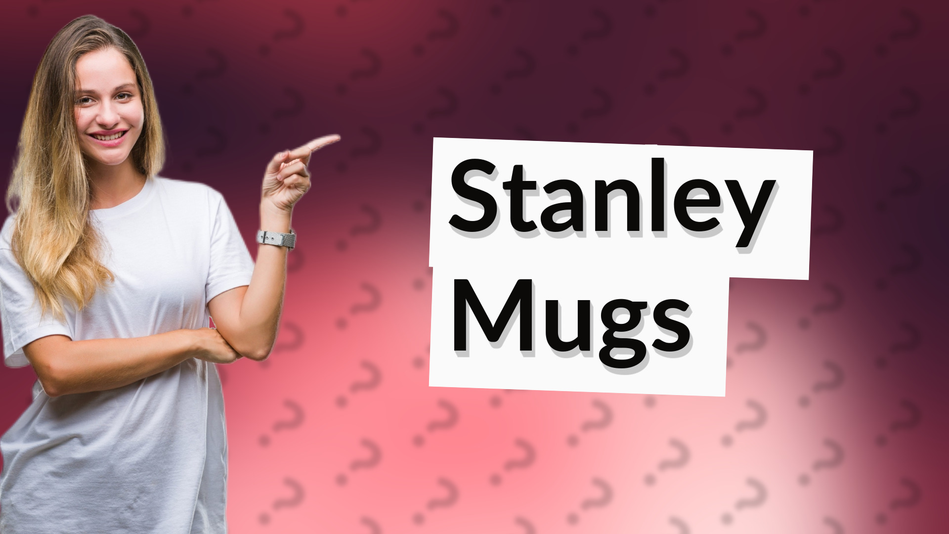 Stanley Mugs