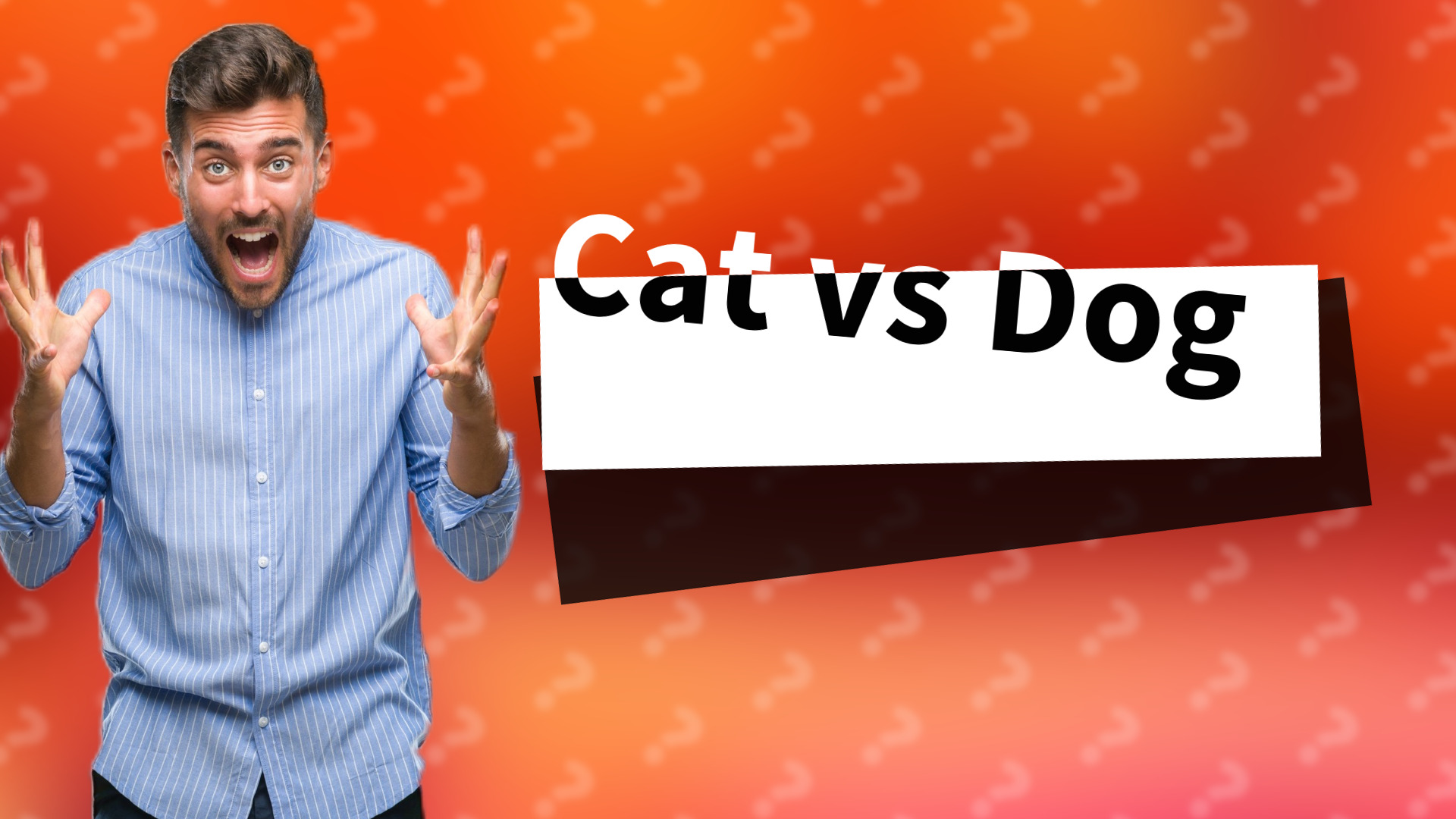 Cat vs Dog