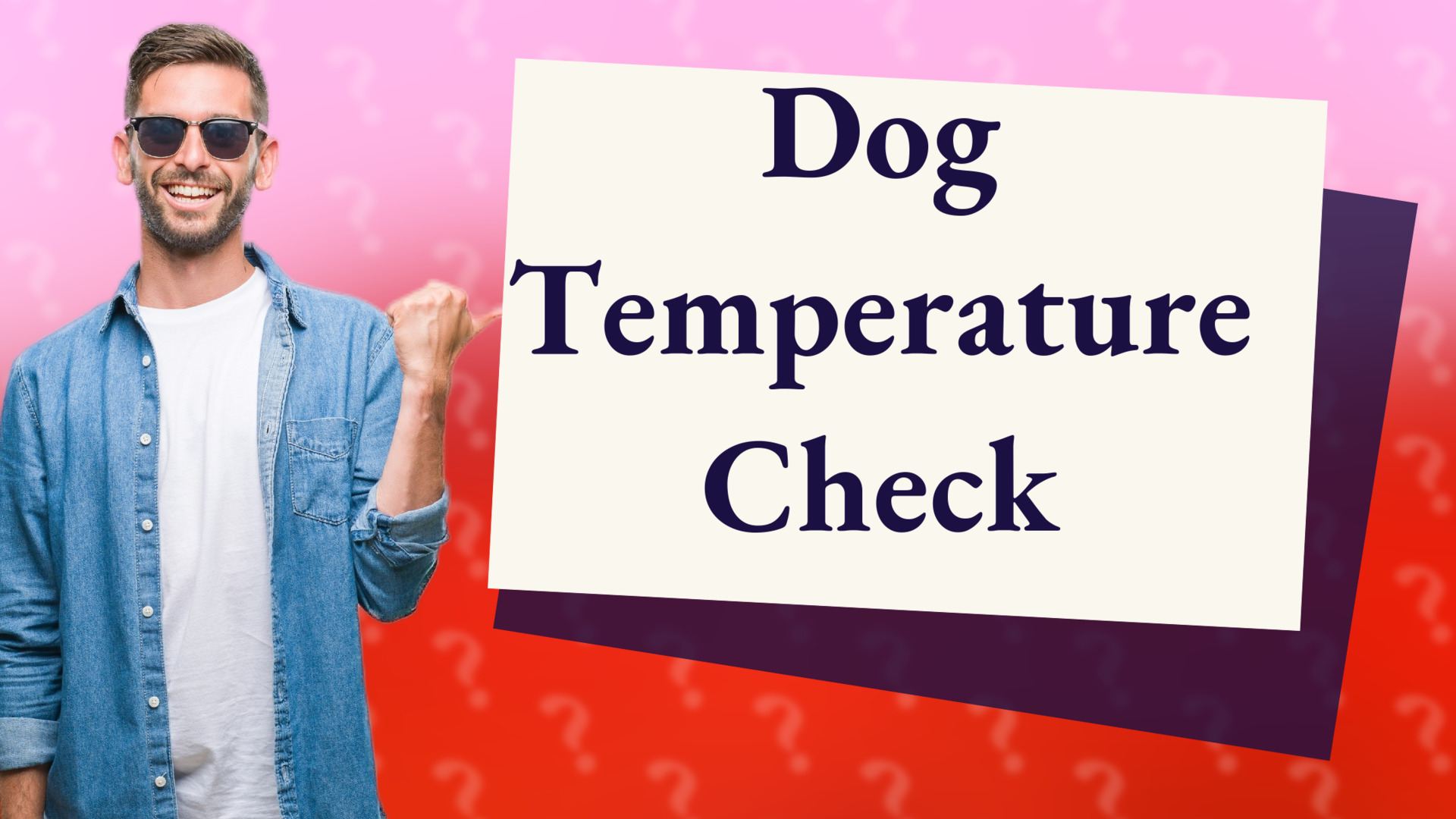 Dog Temperature Check