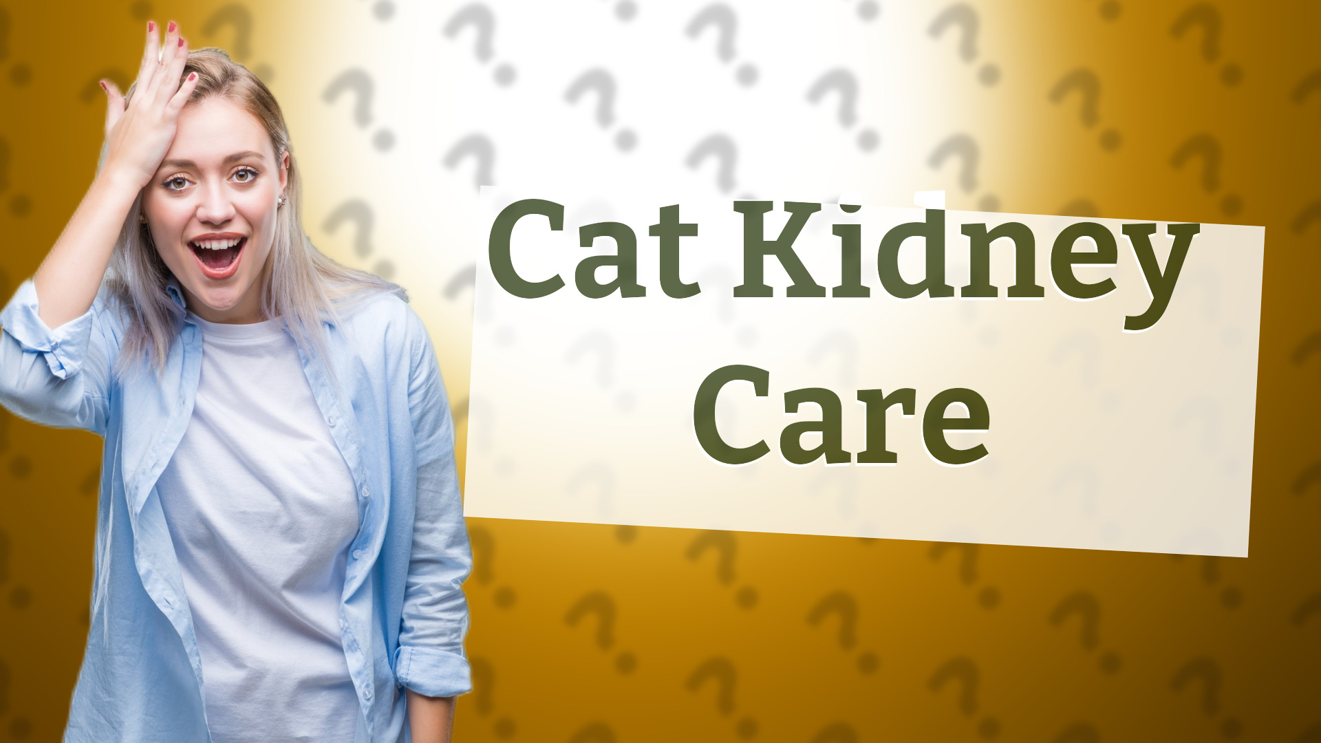 Cat Kidney Care