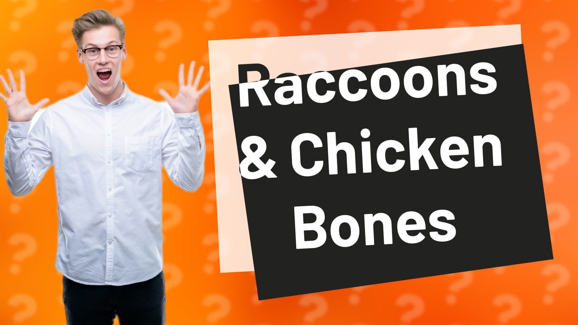 Raccoons & Chicken Bones