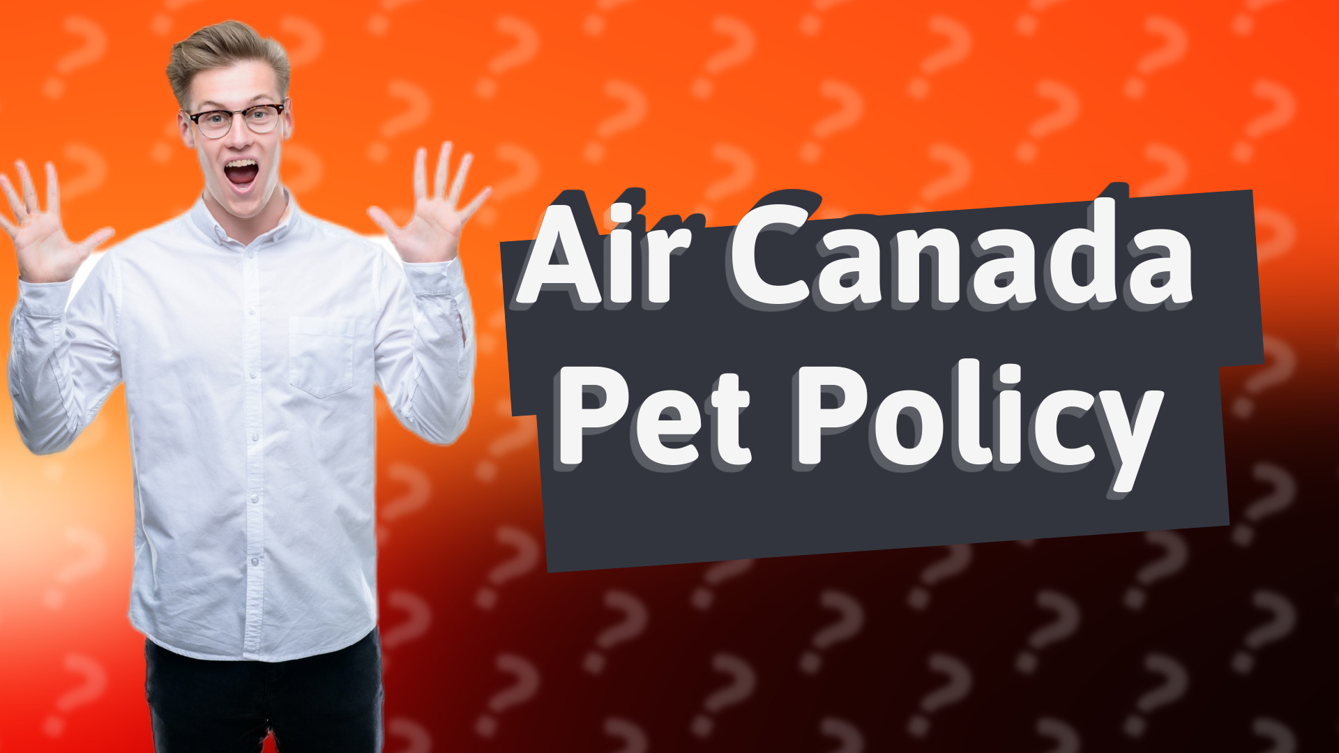 Air Canada Pet Policy