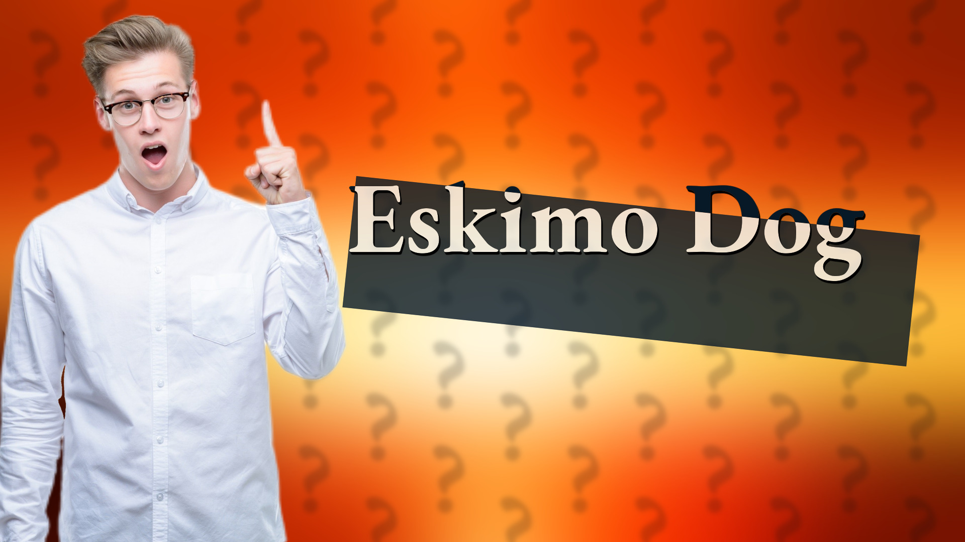 Eskimo Dog