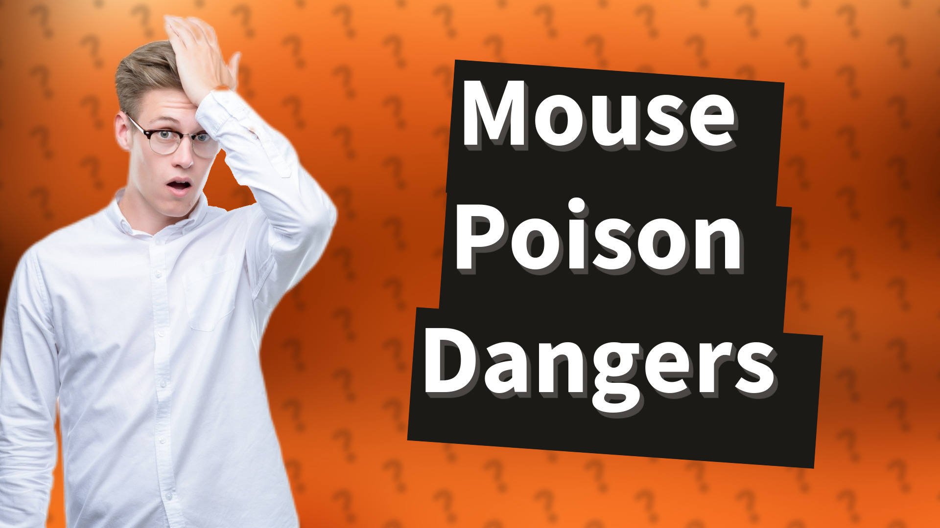 Mouse Poison Dangers