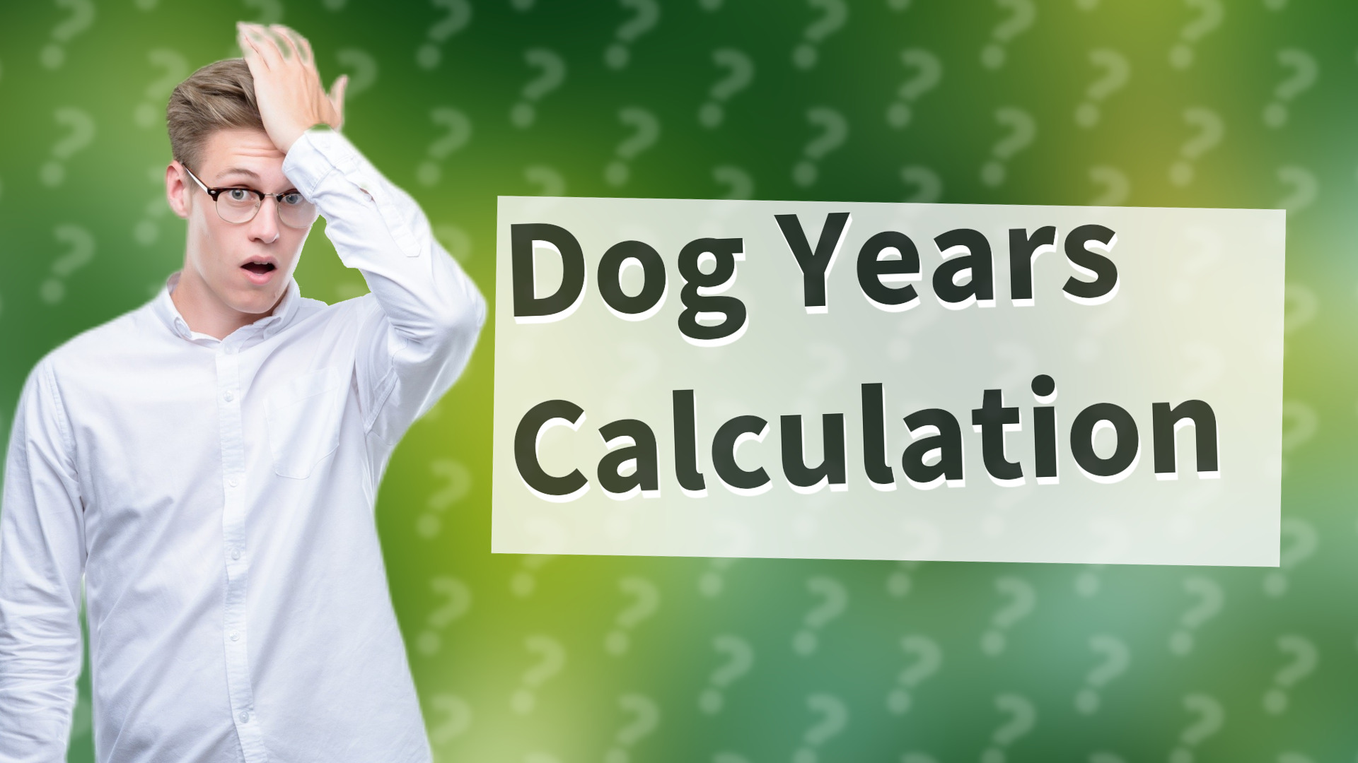 Dog Years Calculation