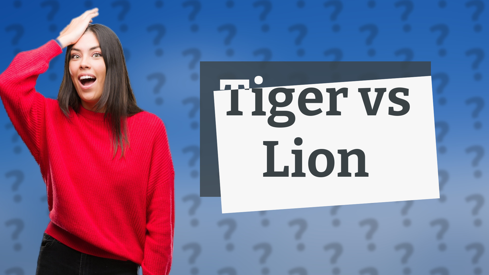 Tiger vs Lion
