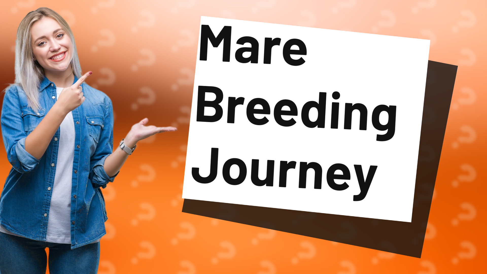 Mare Breeding Journey