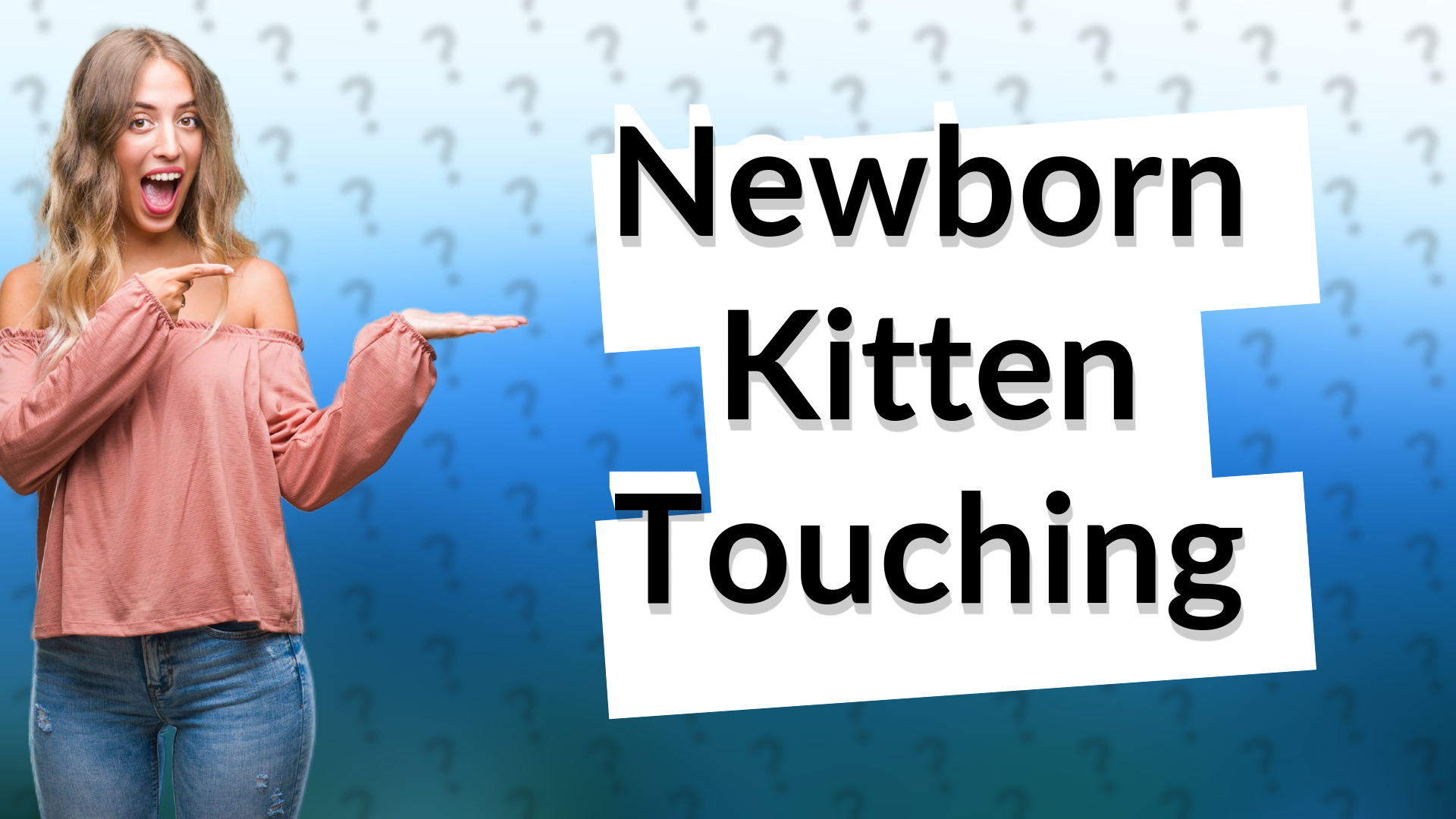 Newborn Kitten Touching