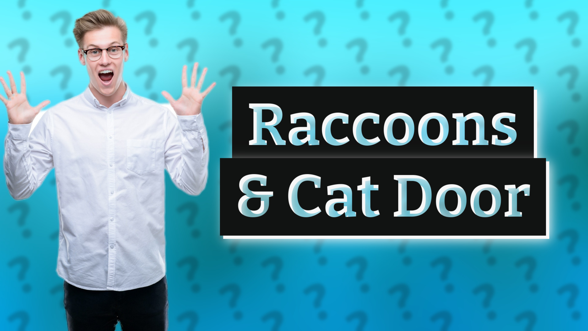 Raccoons & Cat Door