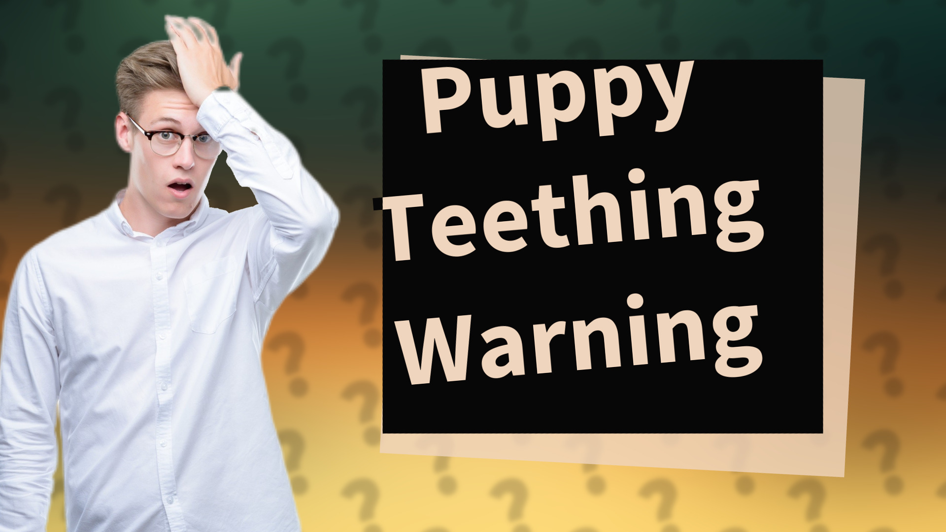 Puppy Teething Warning