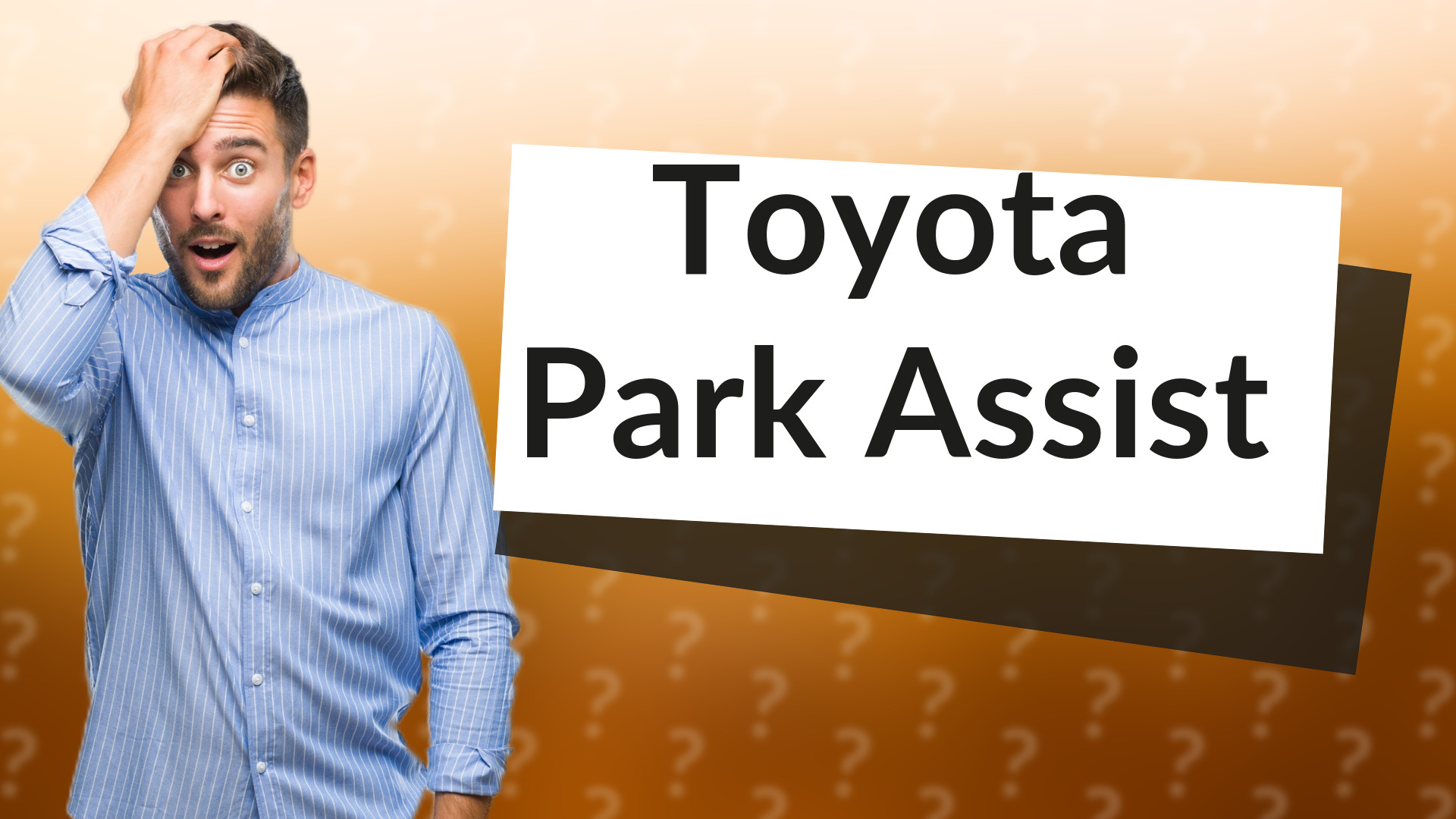 Toyota Park Assist