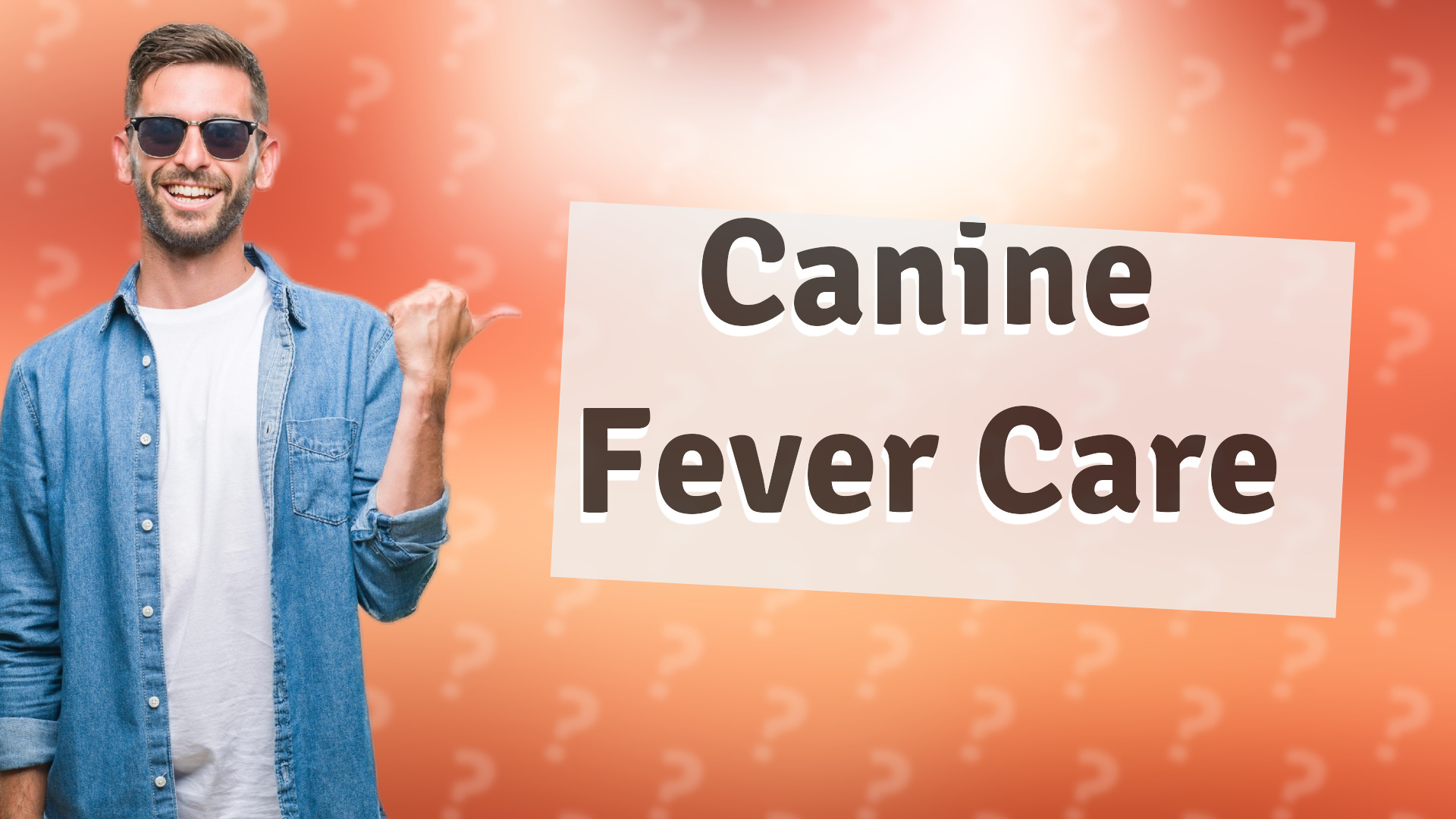 Canine Fever Care