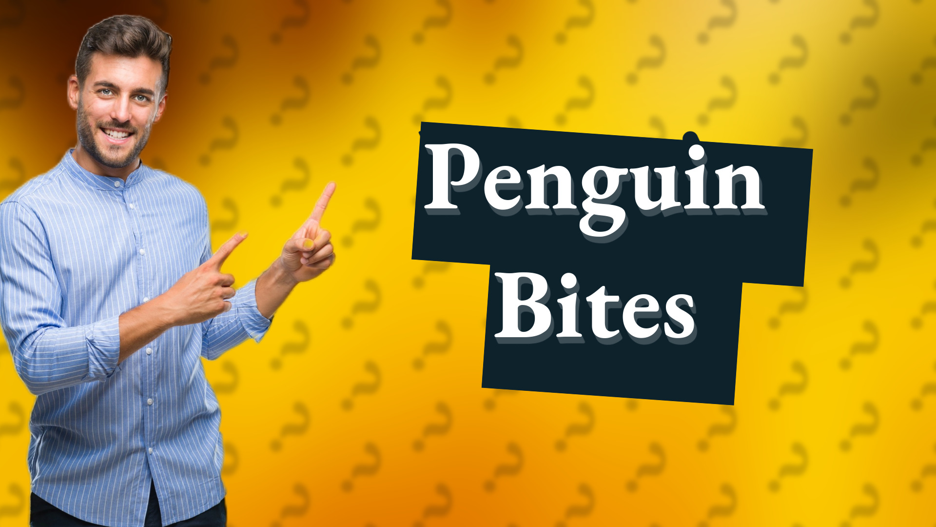 Penguin Bites