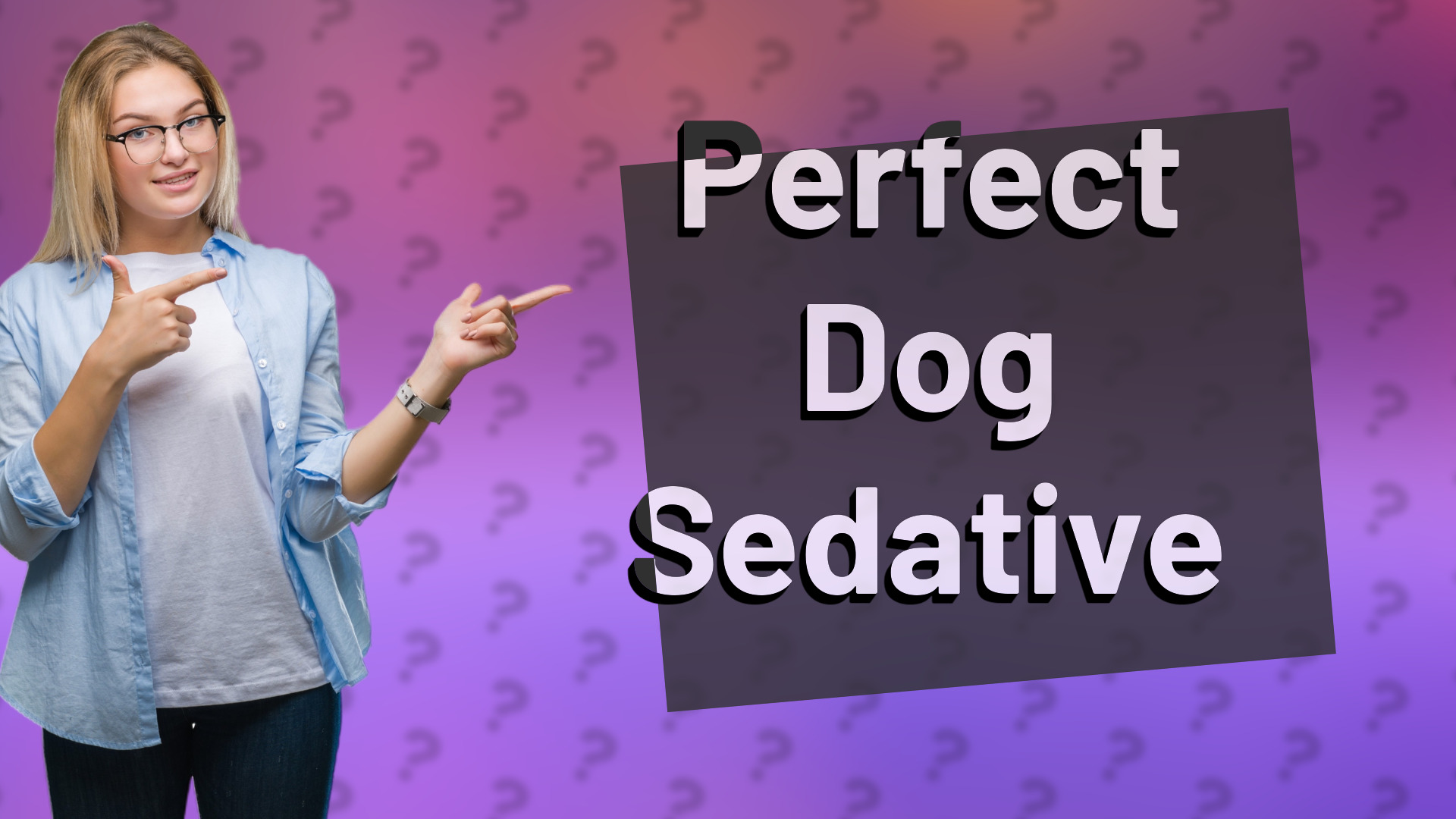 Perfect Dog Sedative