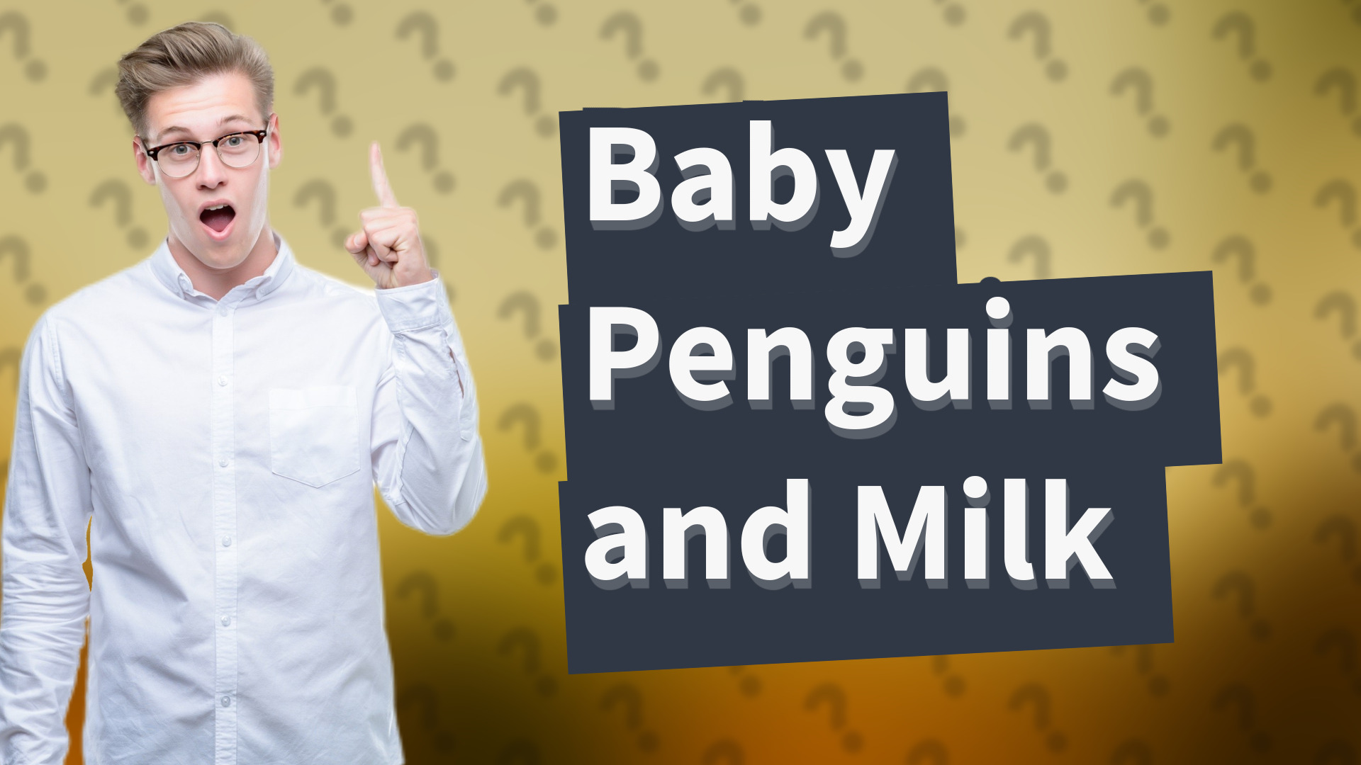 Baby Penguins and Milk