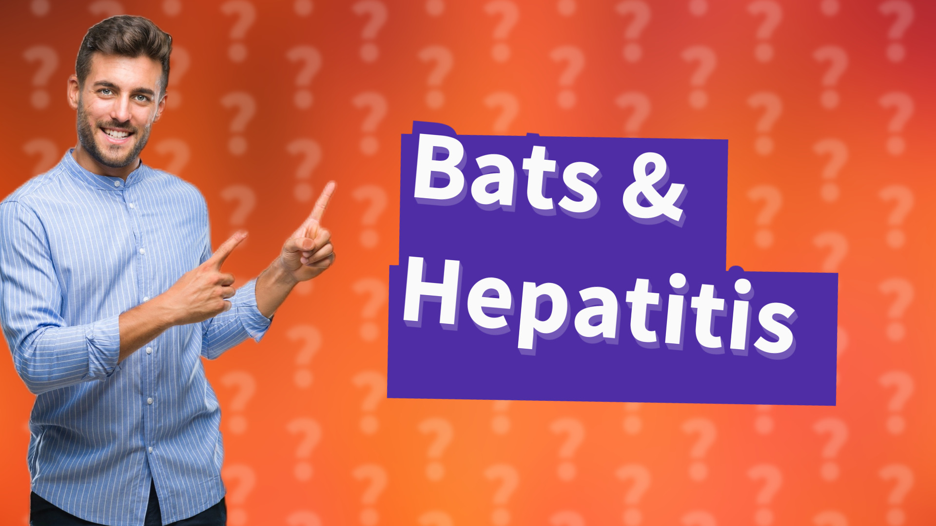 Bats & Hepatitis